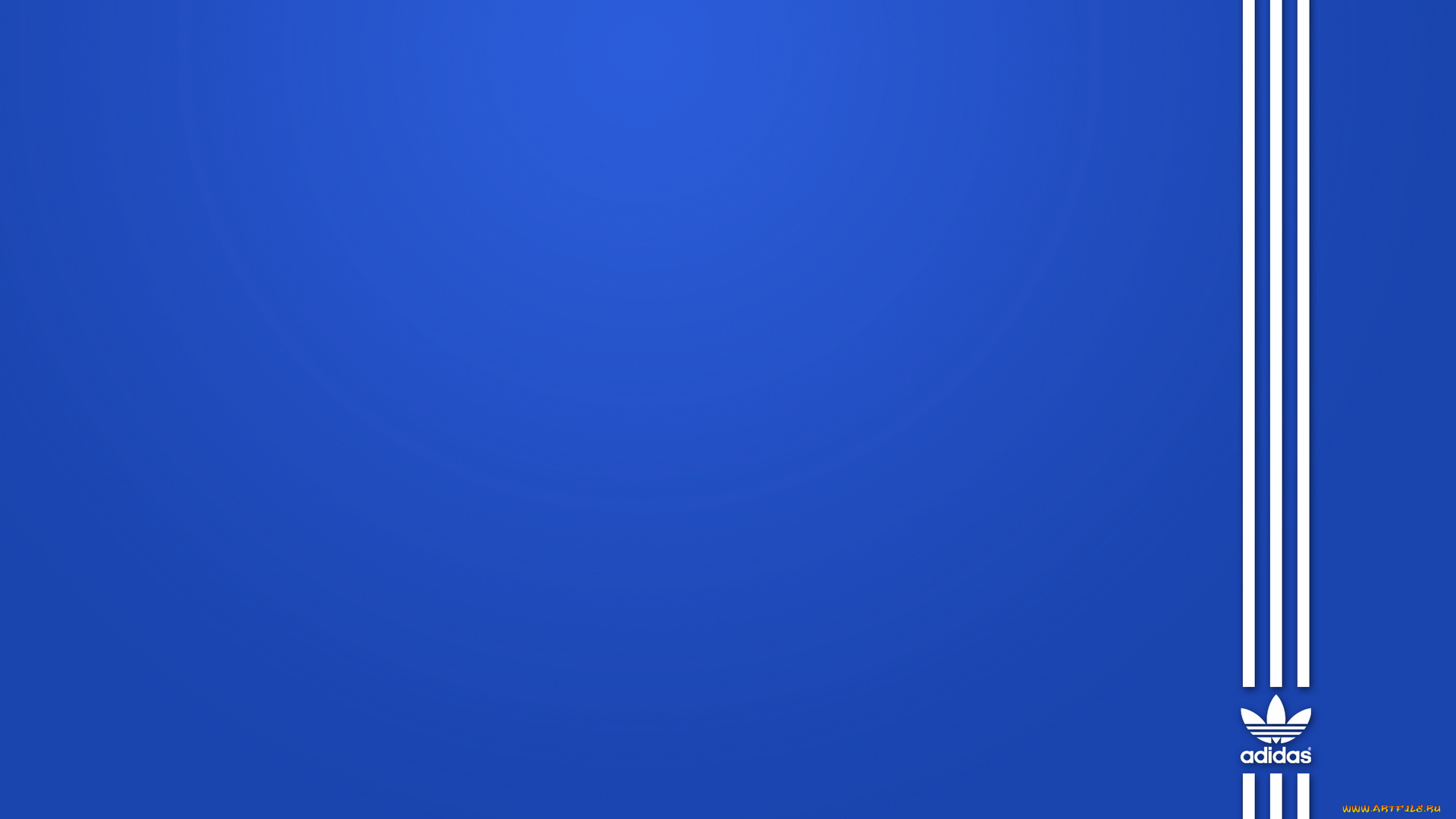 бренды, adidas, синий