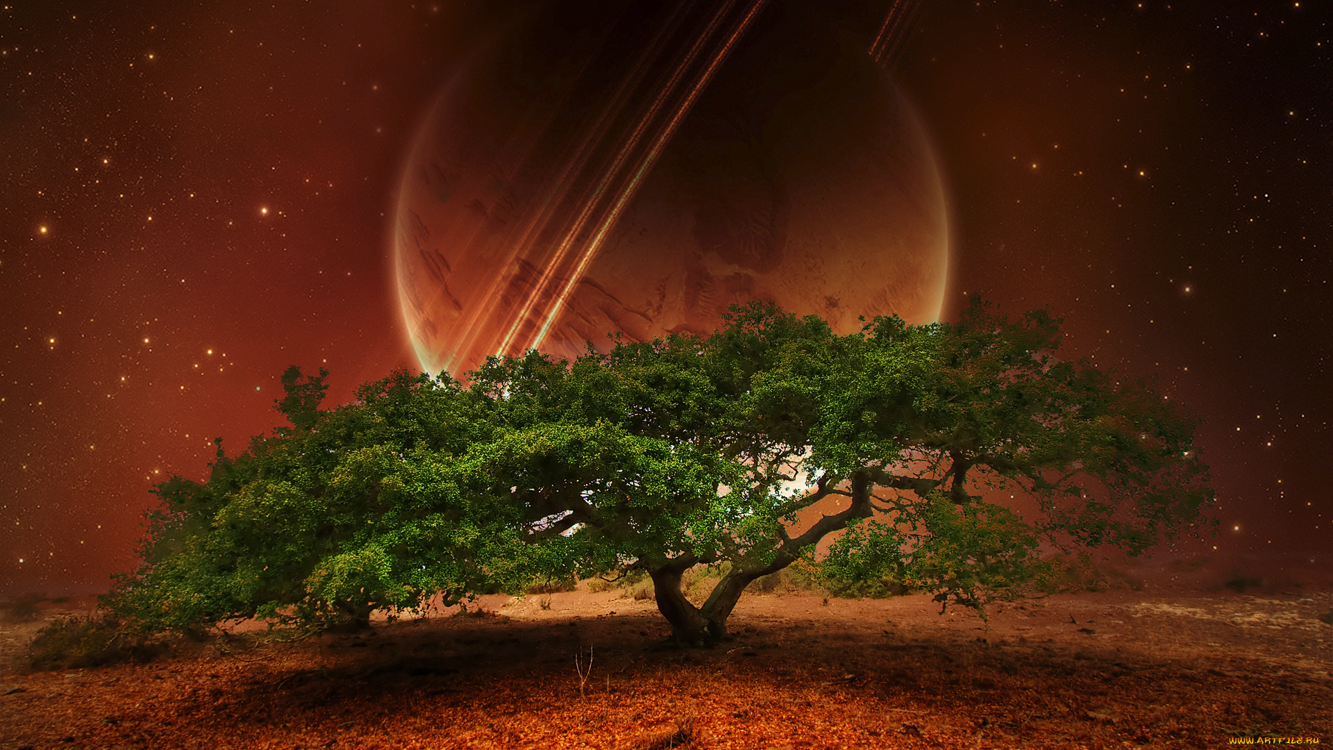 oak, tree, разное, компьютерный, дизайн, дерево, красный, фон, планета