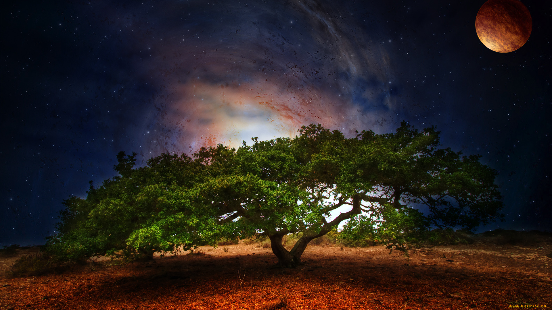 oak, tree, разное, компьютерный, дизайн, луна, дерево