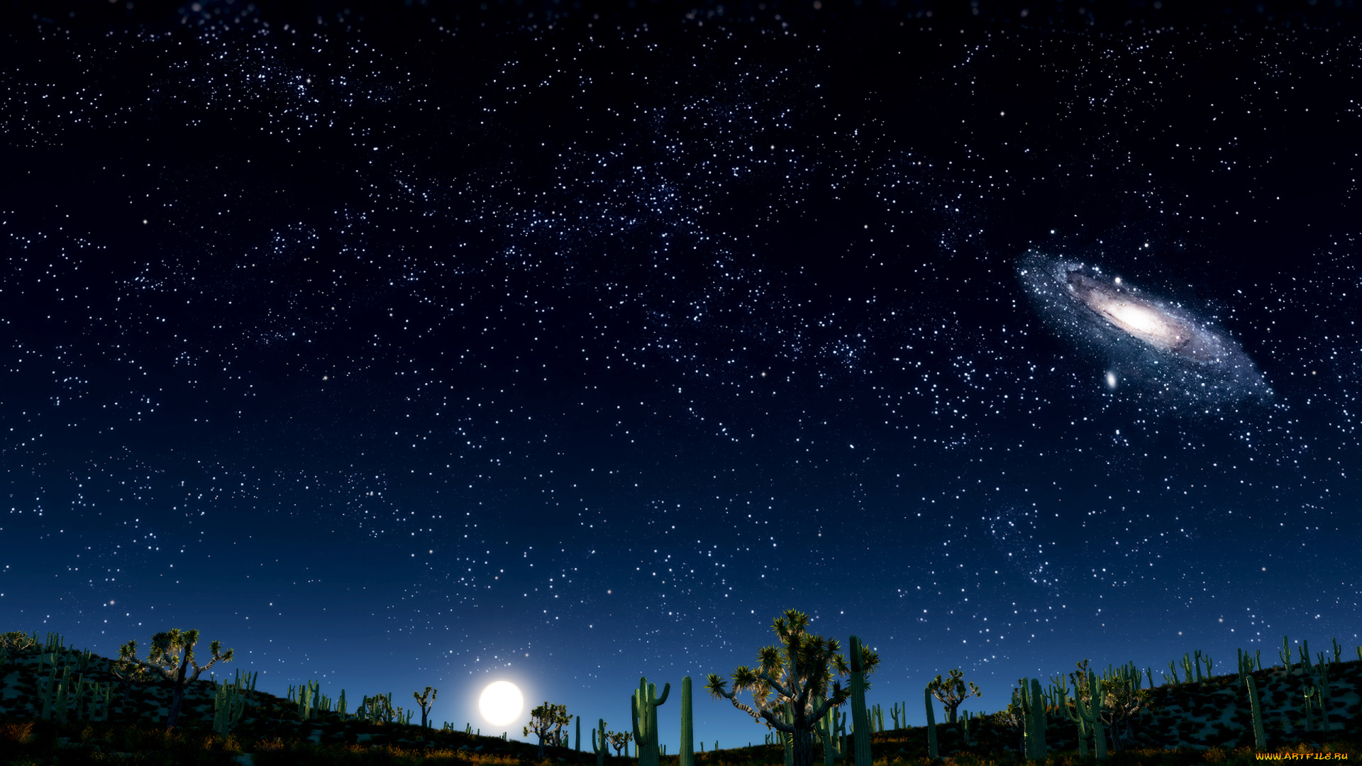 only, imaginations, 3д, графика, atmosphere, mood, атмосфера, настроения, галактика, звезды, путыня, кактуусы