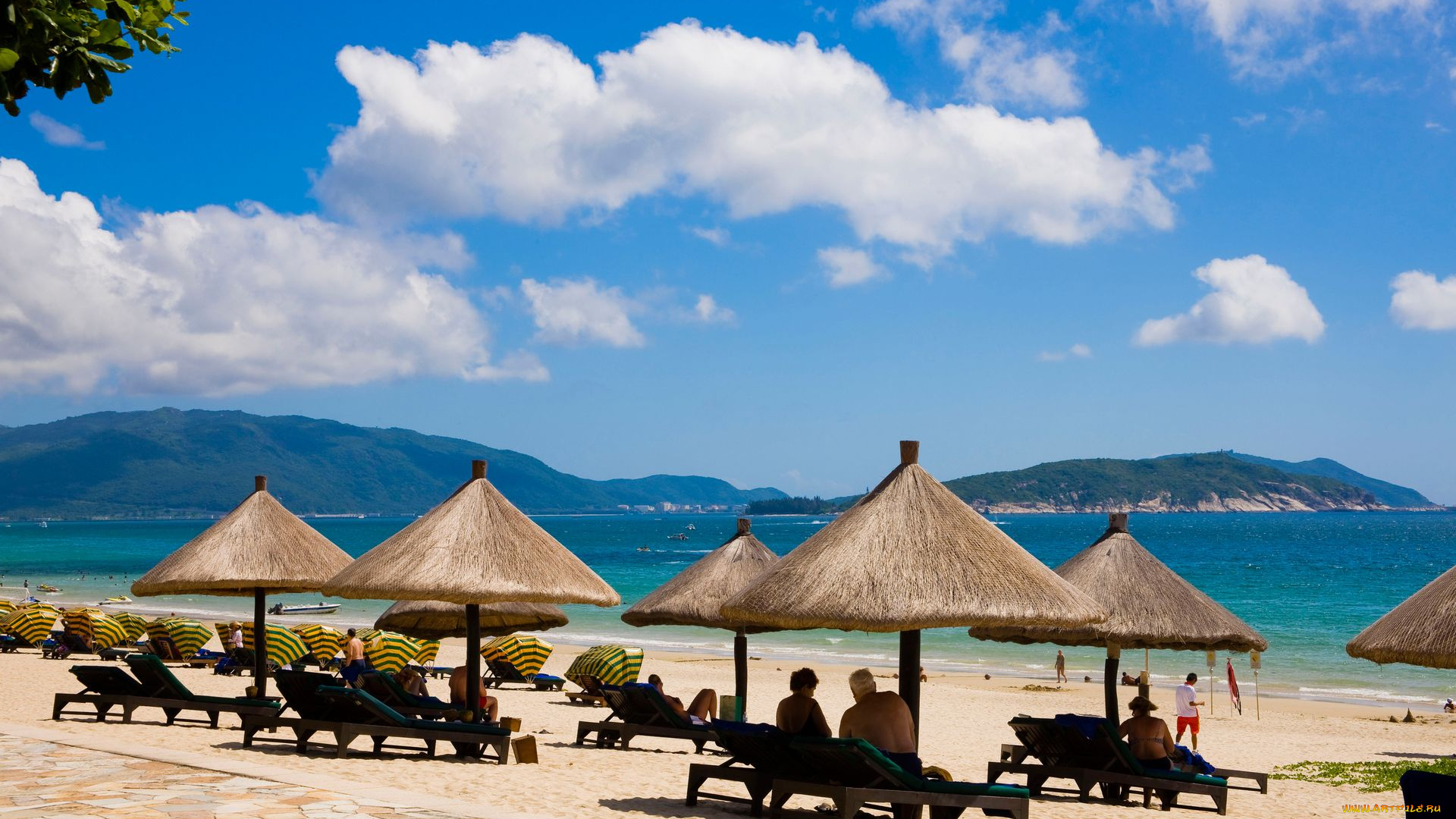 природа, тропики