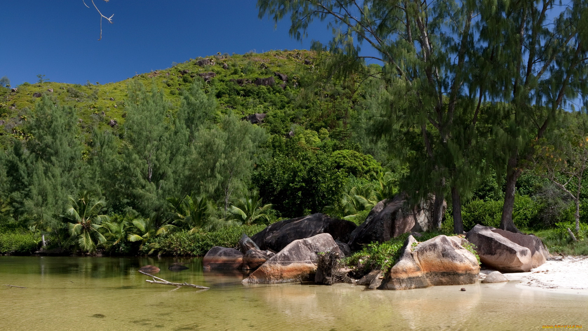 seychelles, praslin, природа, тропики, остров