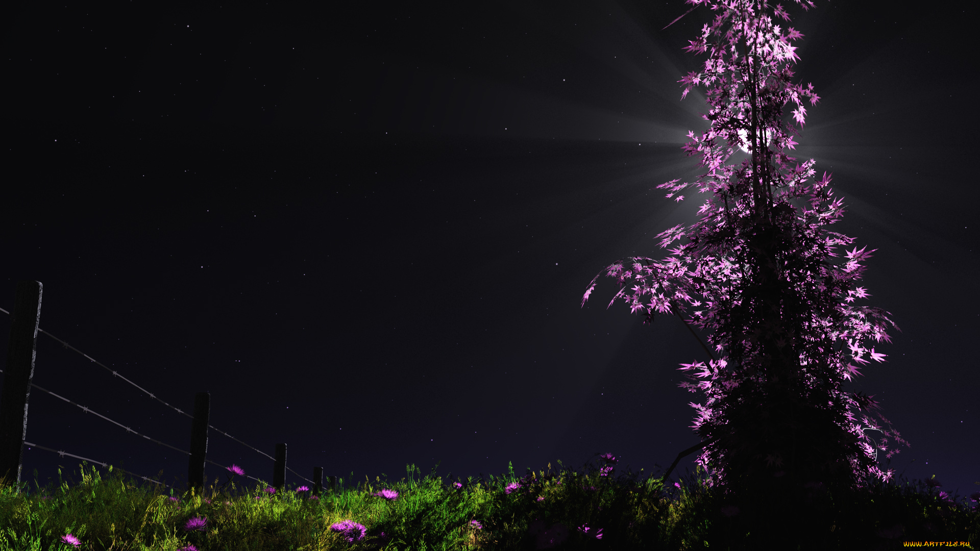 silent, night, разное, компьютерный, дизайн, луна, цветы, ночь, дерево