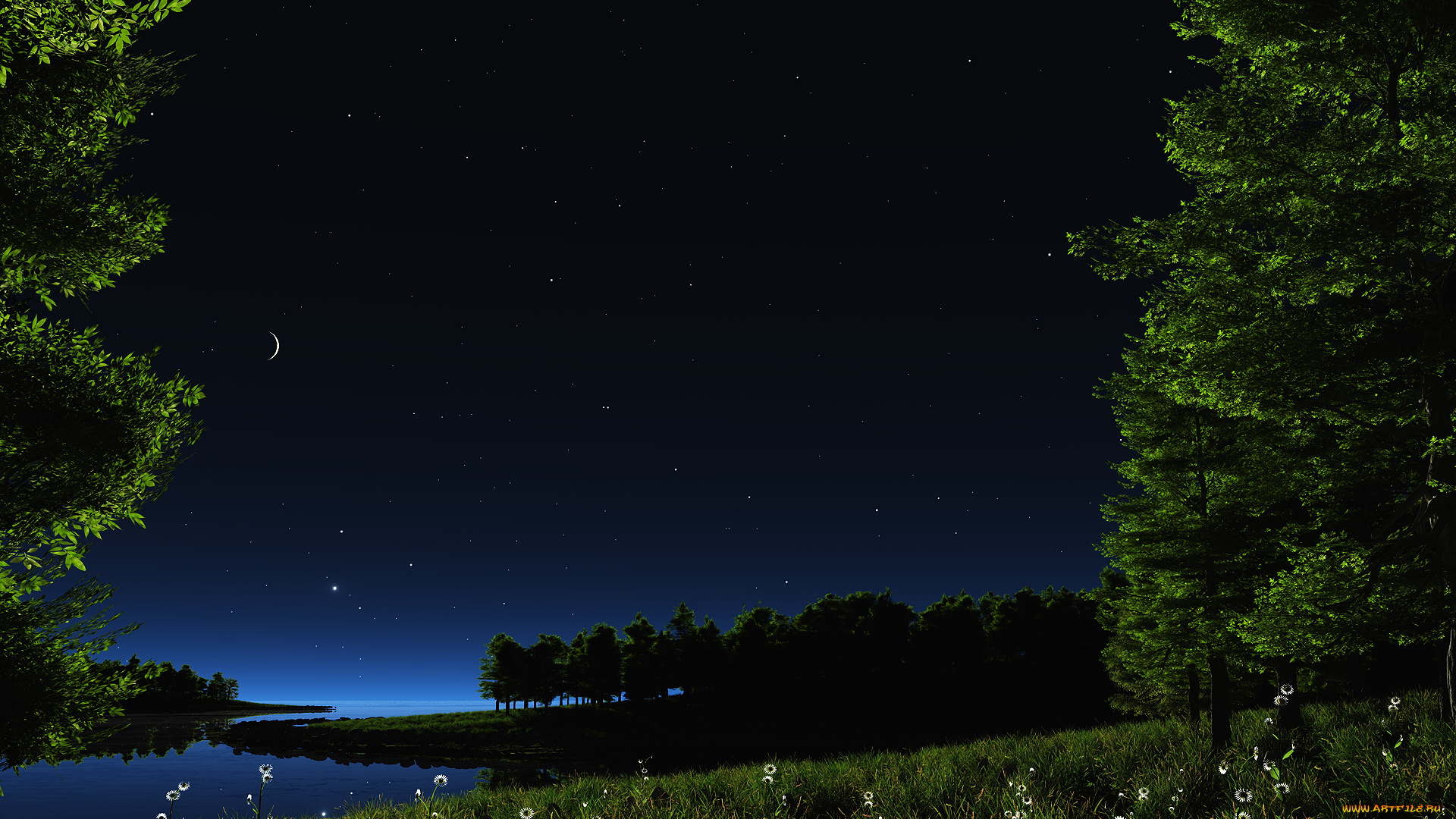 vision, of, peace, night, ver, разное, компьютерный, дизайн, море, ночь, небо, звезды