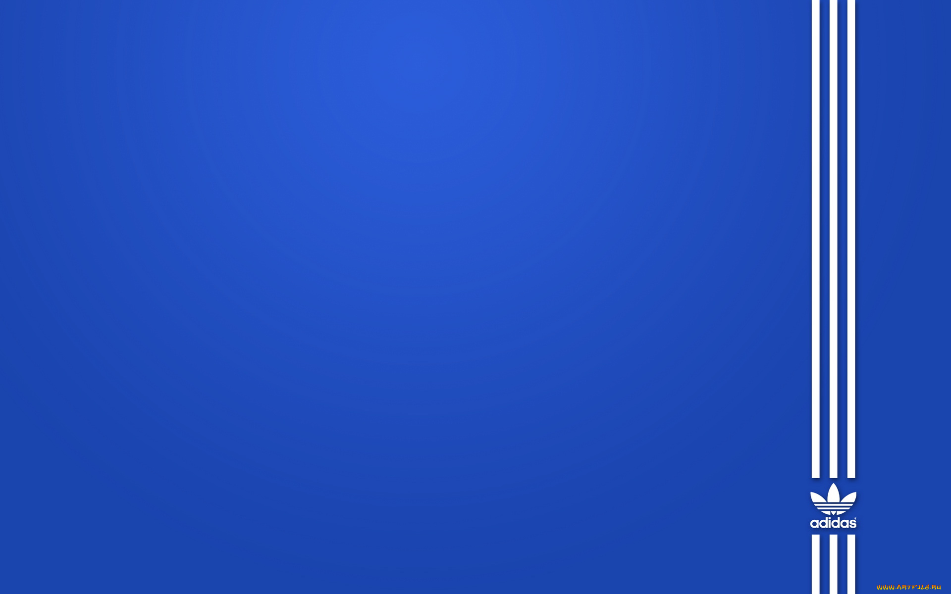 бренды, adidas, синий