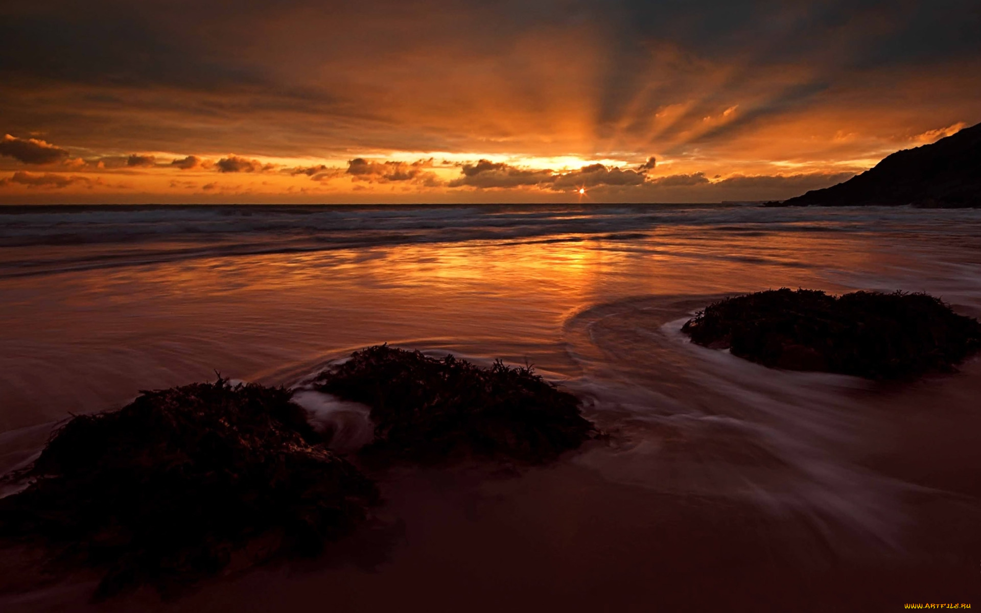 природа, побережье, трава, вечер, закат