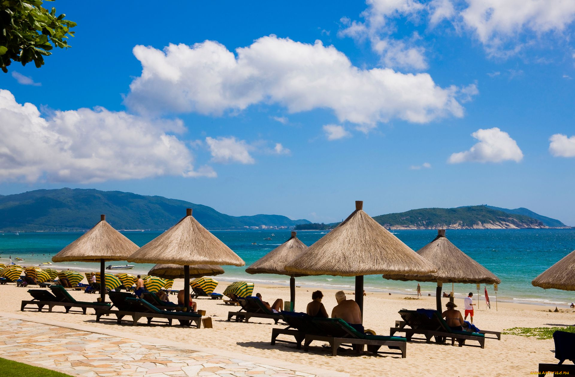 природа, тропики