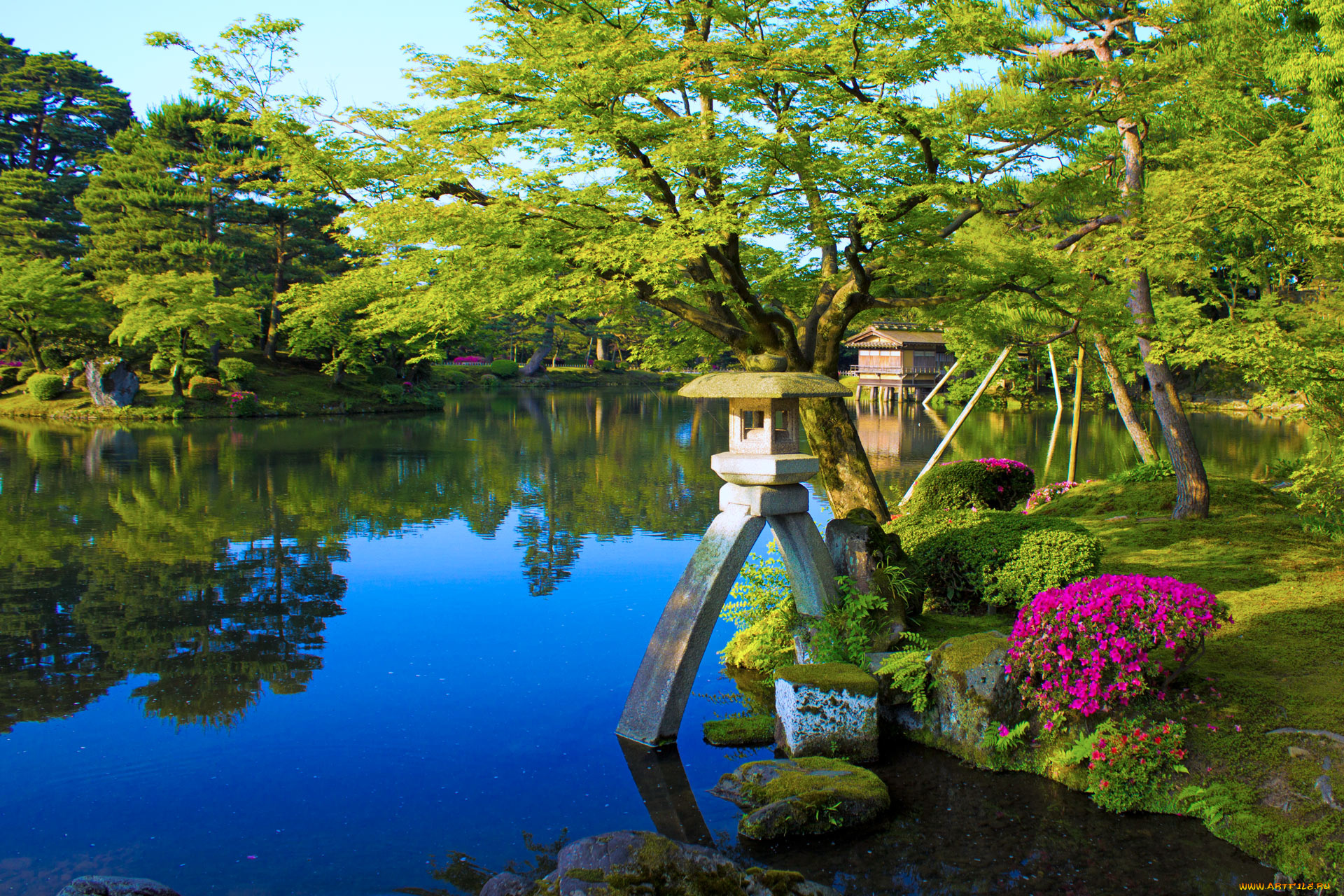 природа, парк