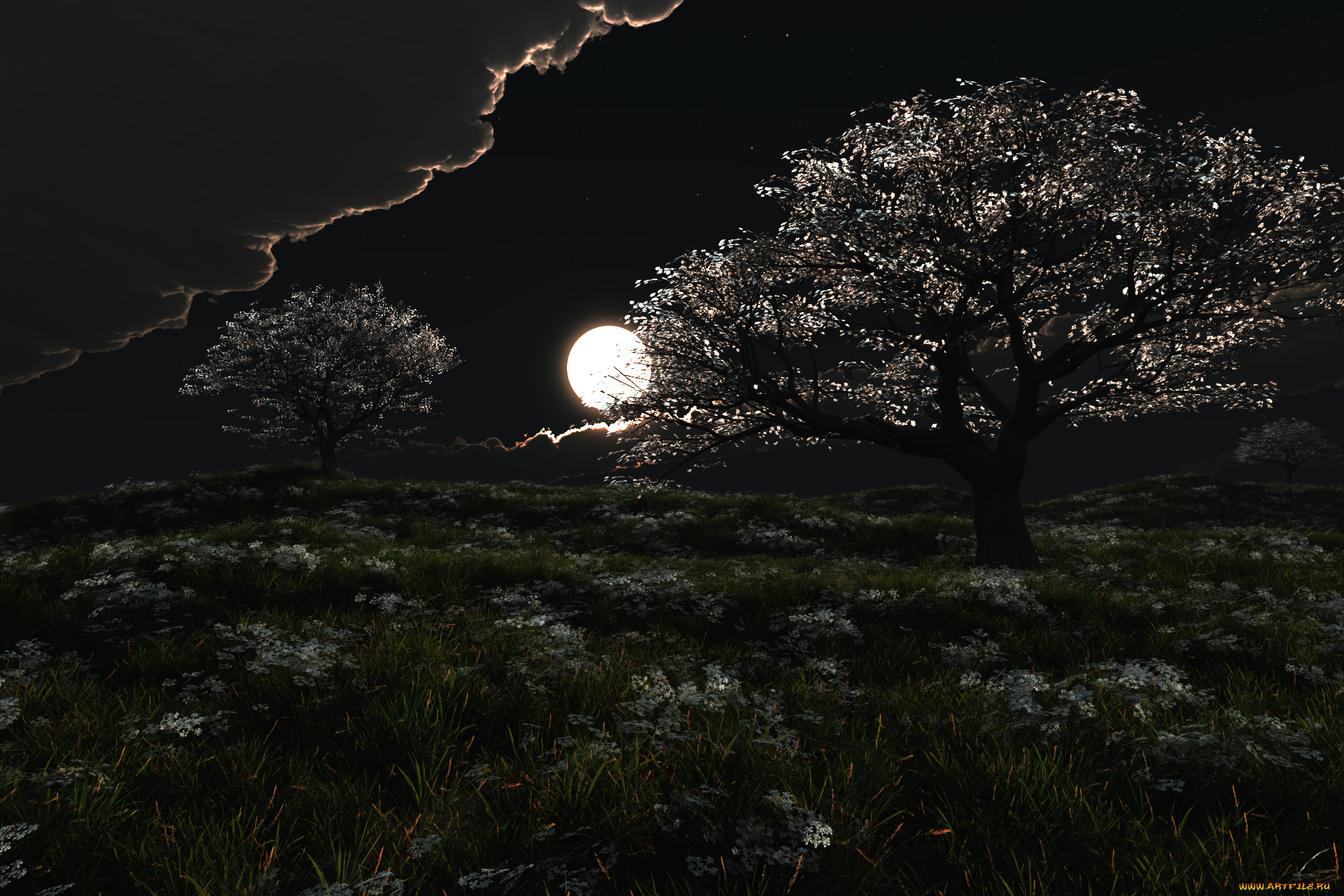 sleepless, night, 3д, графика, nature, landscape, природа, луна, деревья, ночь, облака