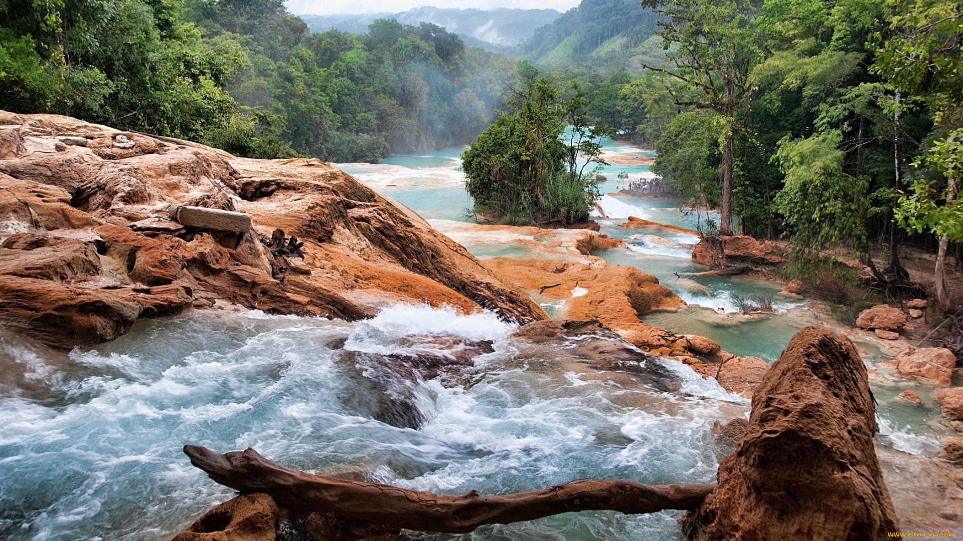 cascadas, de, agua, azul, chiapas, природа, реки, озера, горы, лес, река, камни, бревна, поток, стремнина