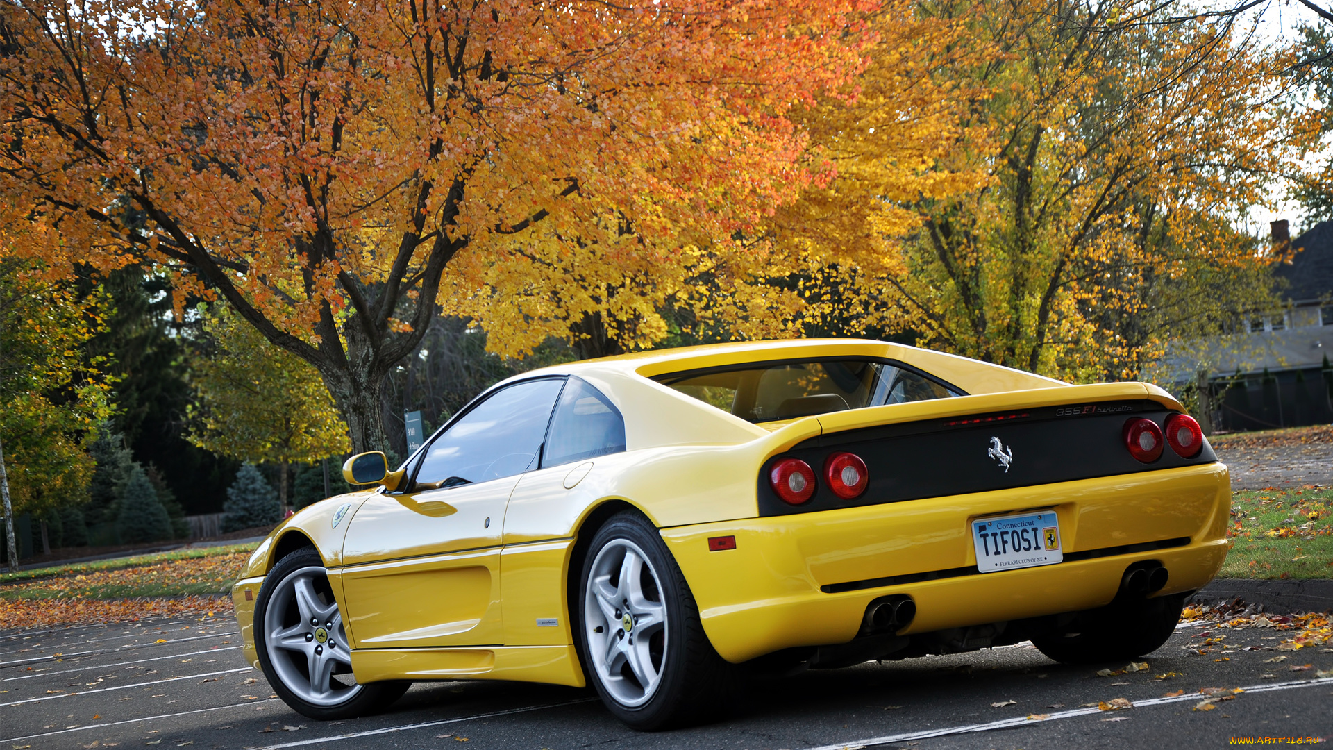 ferrari, 355, автомобили, s, p, a, гоночные, спортивные, италия