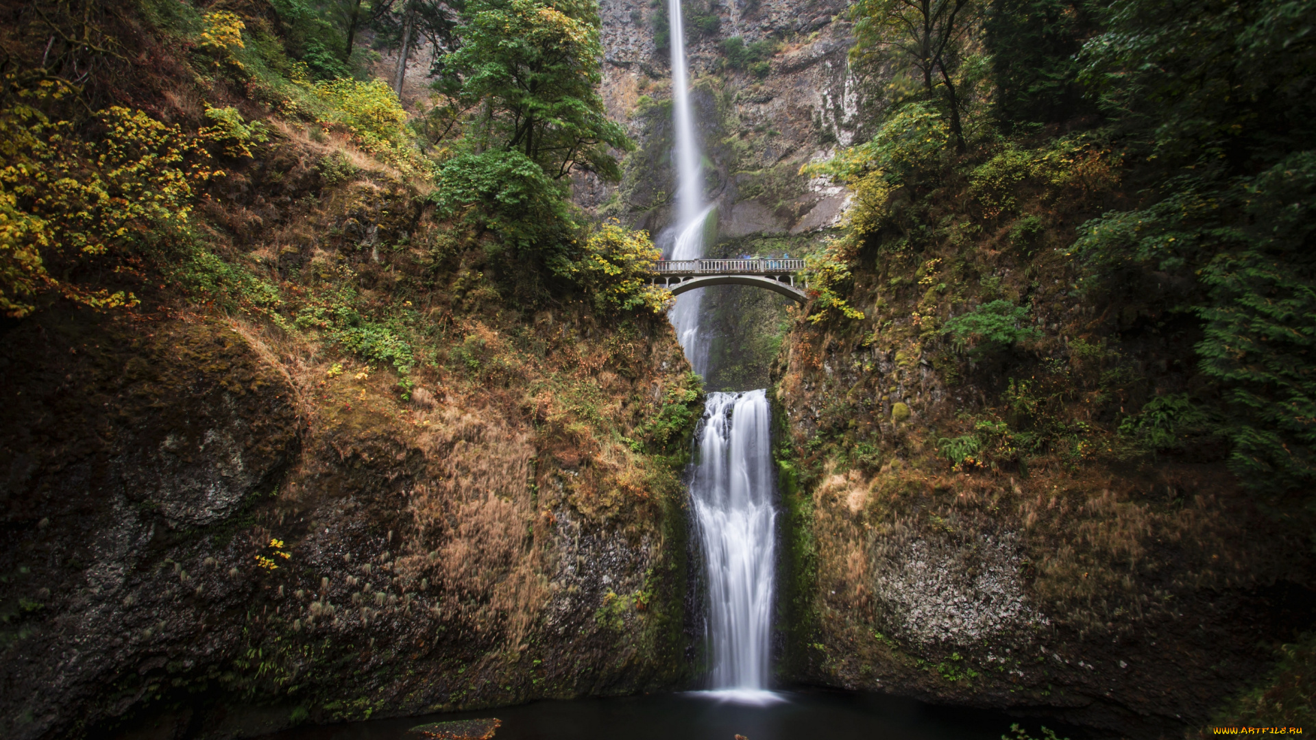 multnomah, falls, oregon, природа, водопады, водопад, малтнома, скалы, поток, мост, орегон