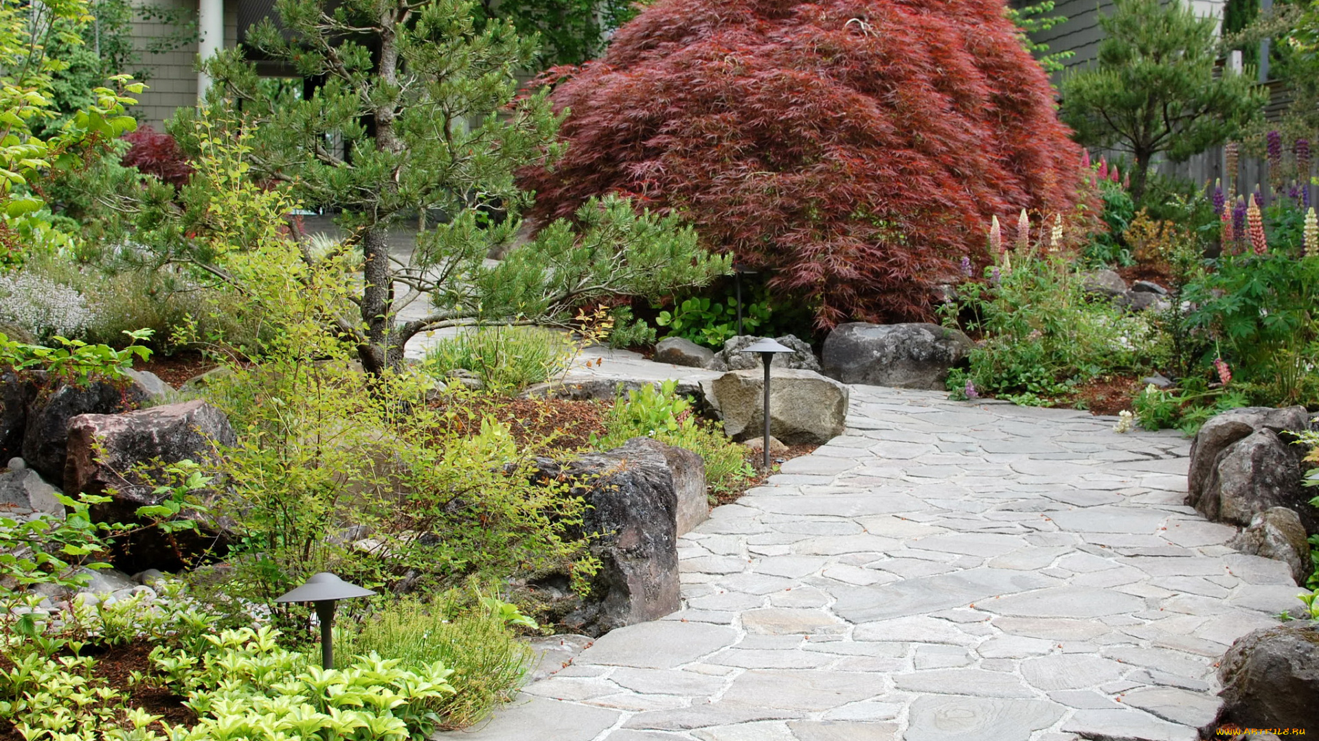 portland, japanese, garden, природа, парк, дорожка, кусты, растения