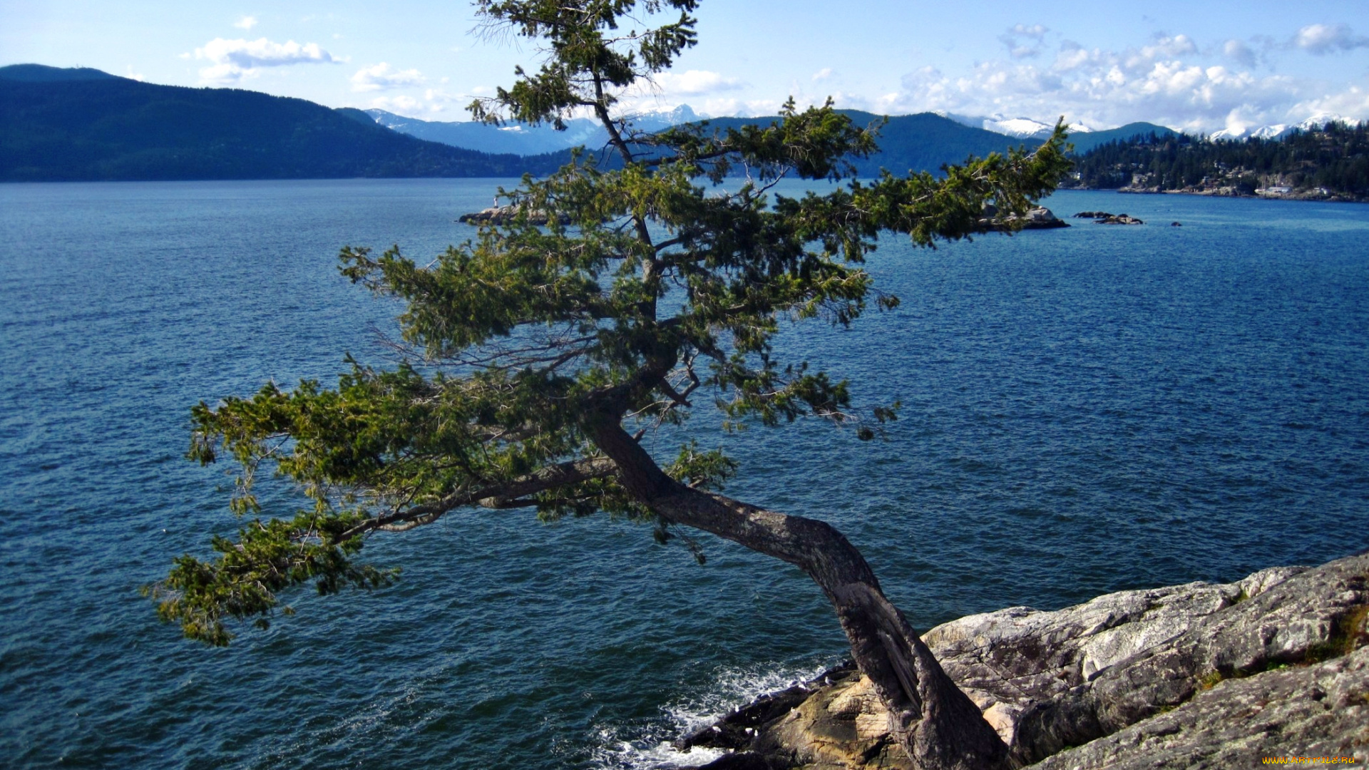 природа, деревья, горы, озеро, дерево