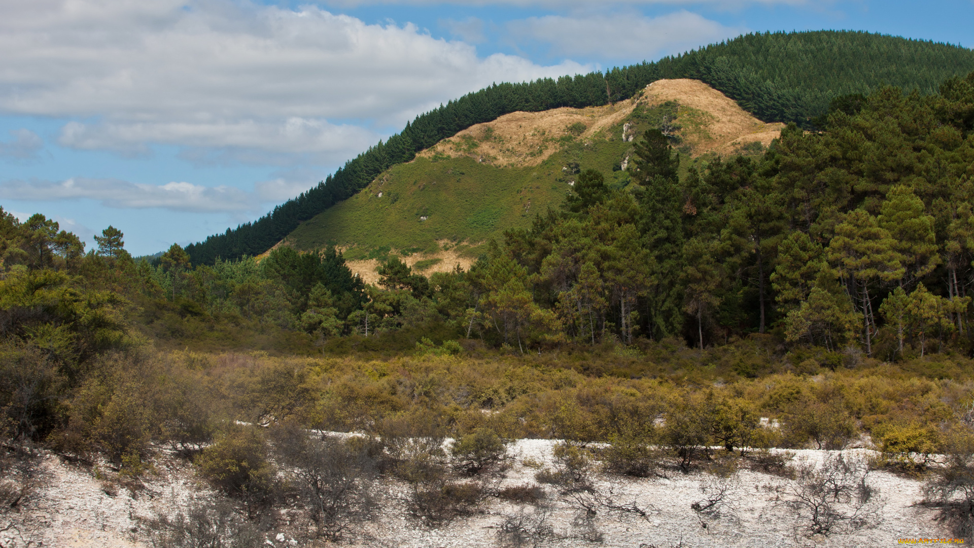 роторуа, новая, зеландия, природа, горы, долина