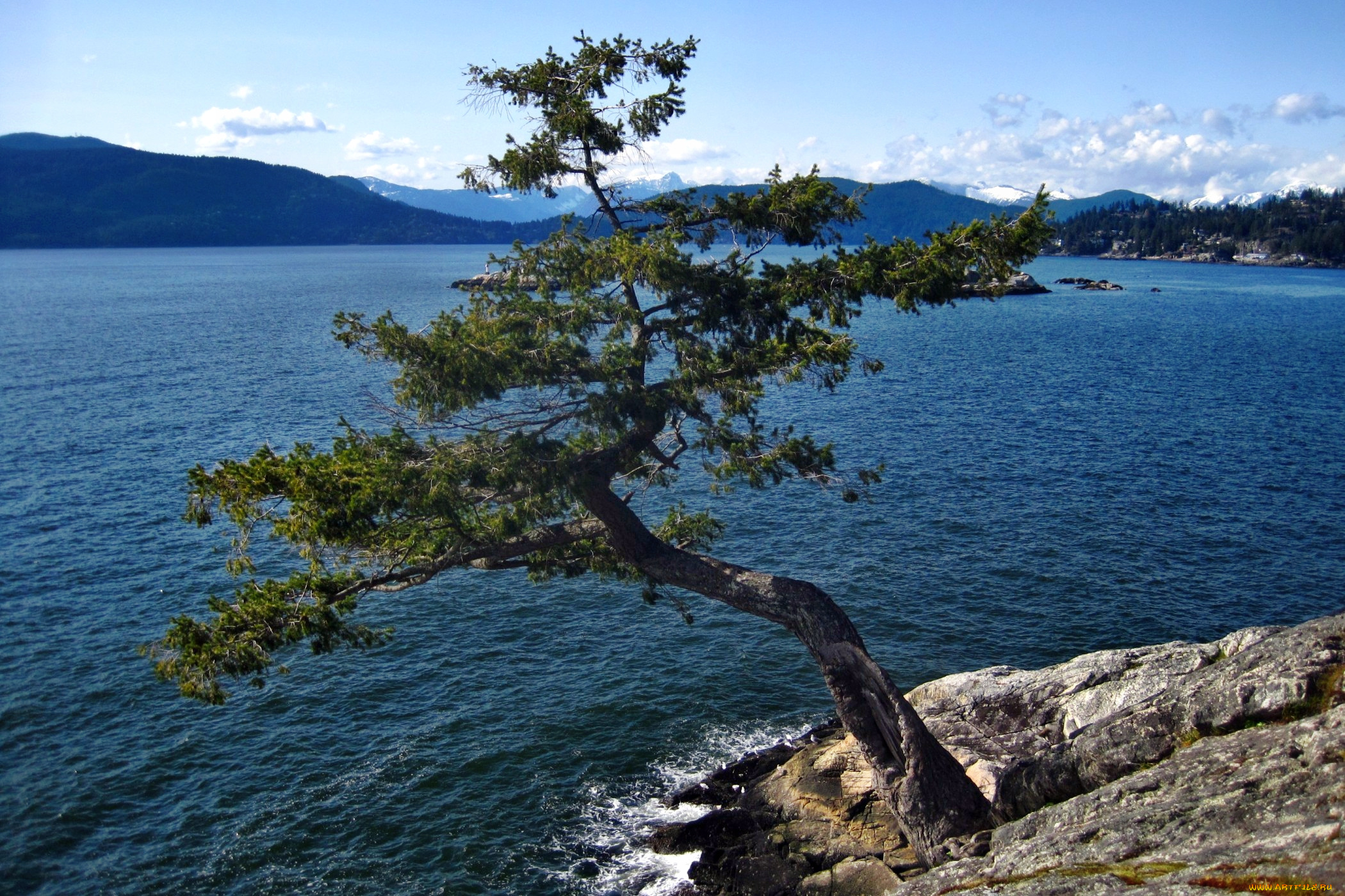 природа, деревья, горы, озеро, дерево