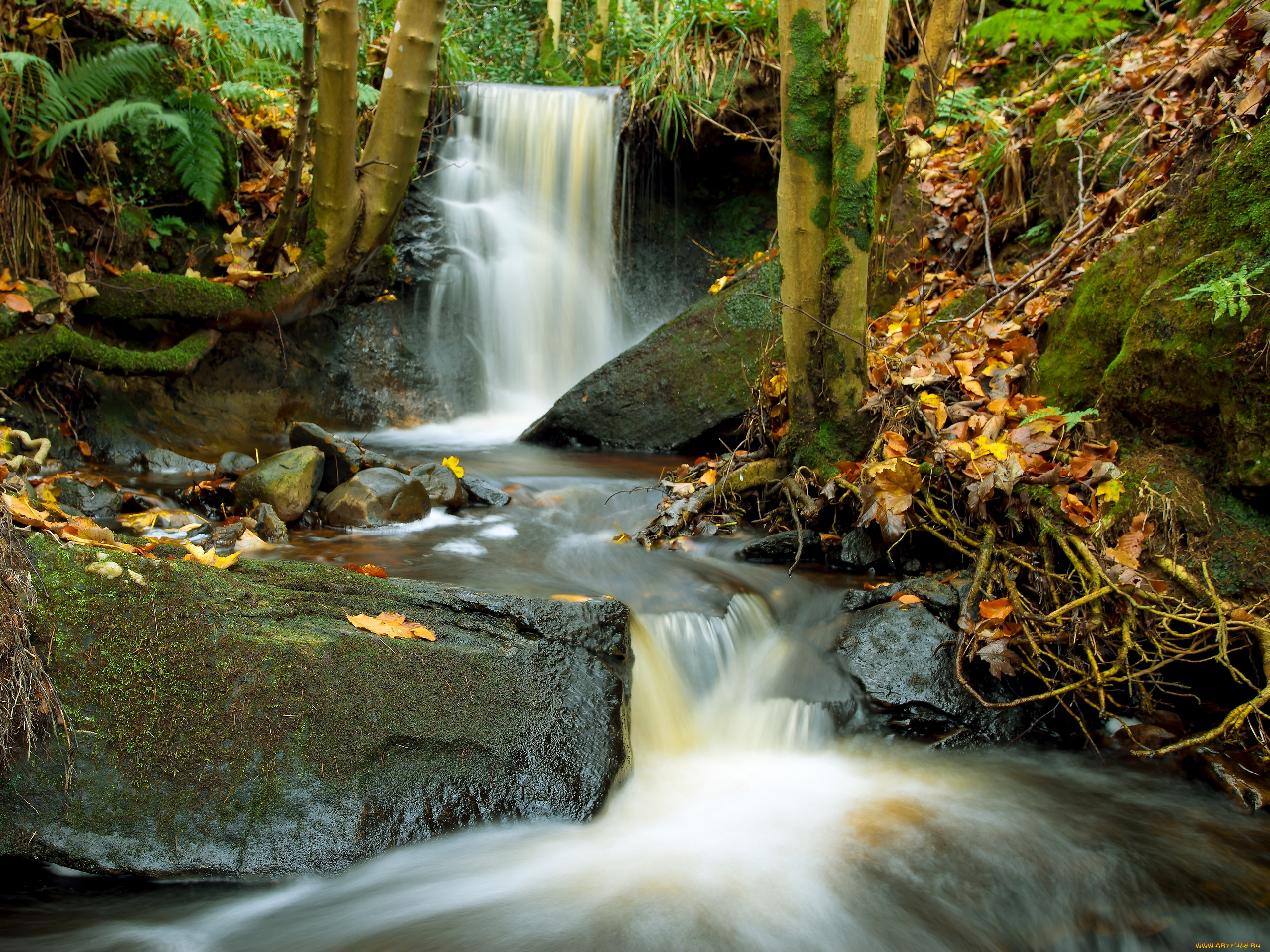 природа, водопады, шотландия, деревья, листья, речка