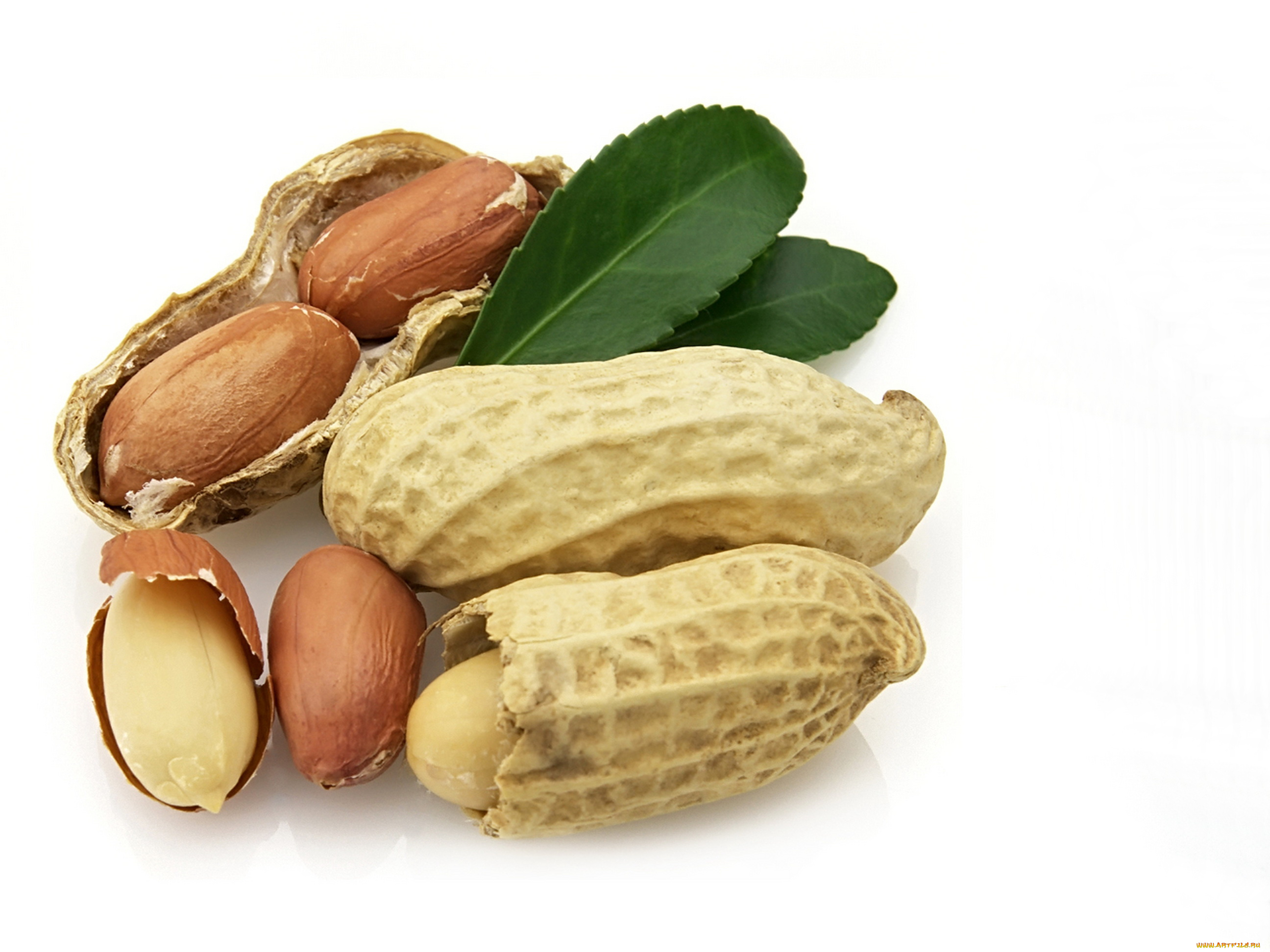 еда, орехи, каштаны, фисташки, розовый