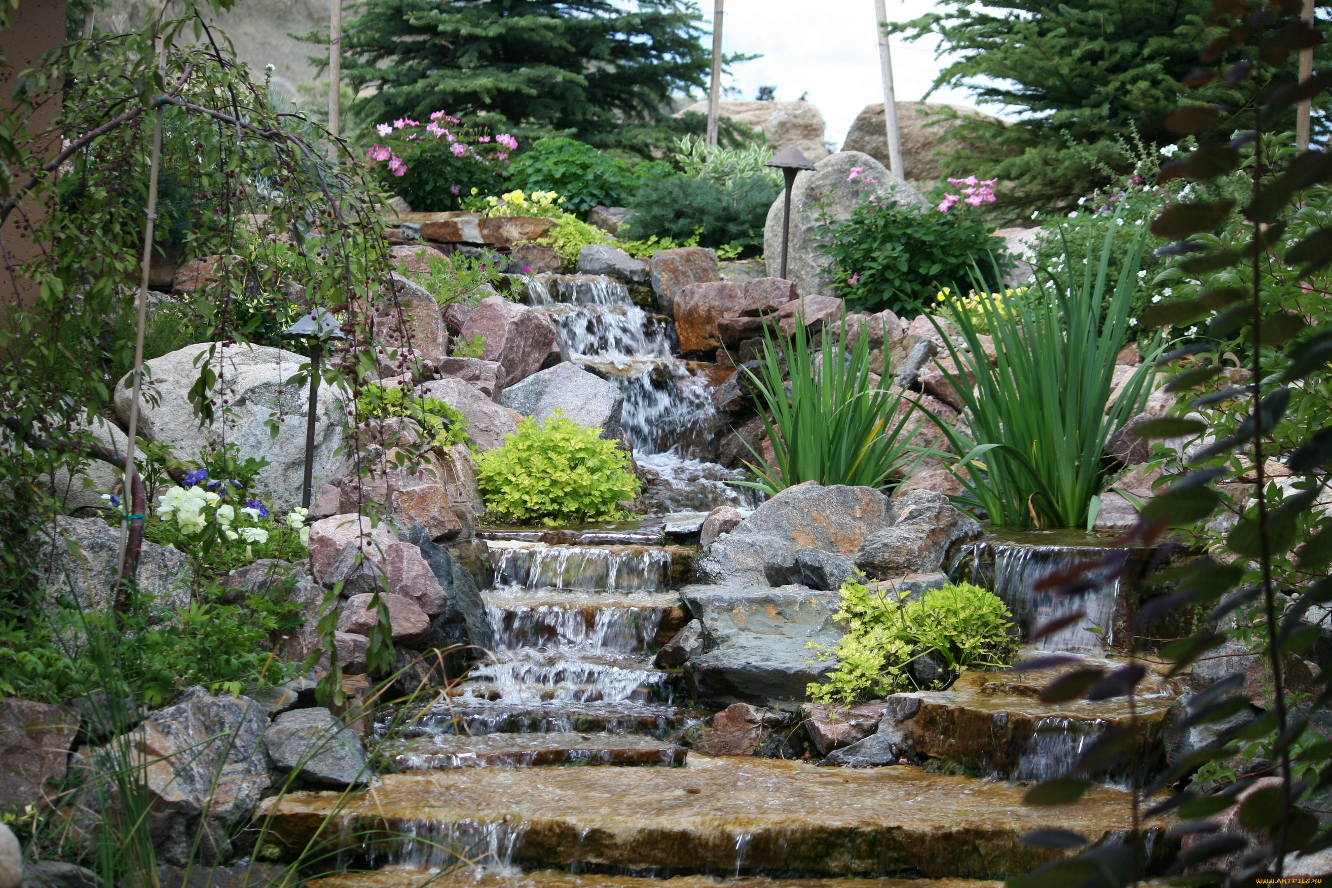 природа, парк, растения, миниводопад, сад