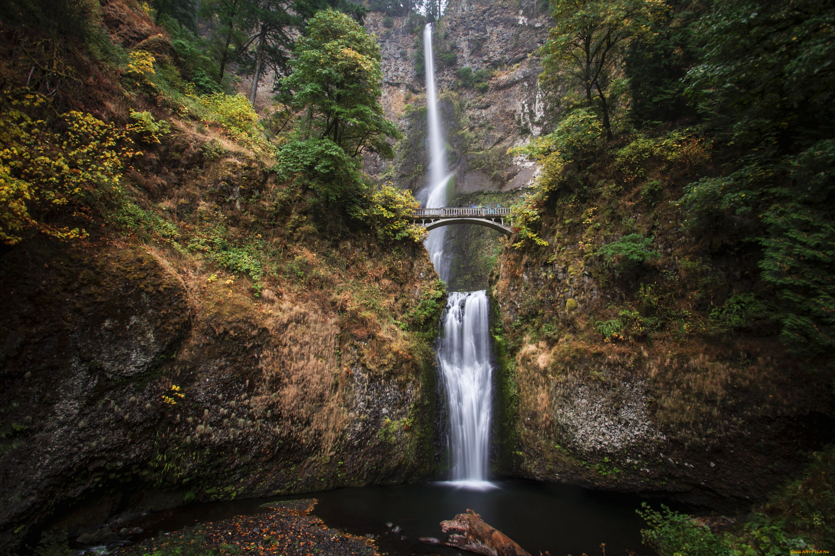 multnomah, falls, oregon, природа, водопады, водопад, малтнома, скалы, поток, мост, орегон
