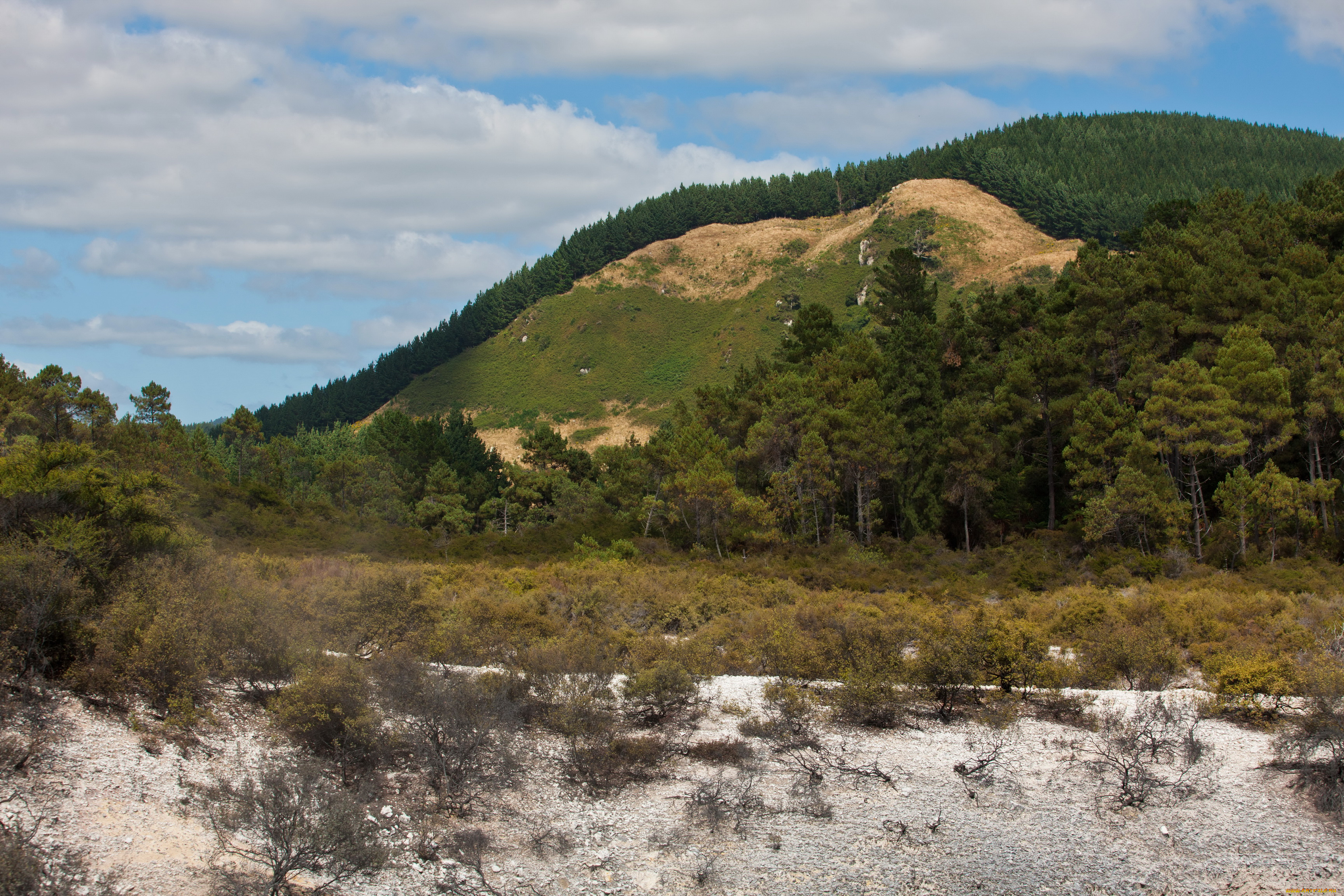 роторуа, новая, зеландия, природа, горы, долина