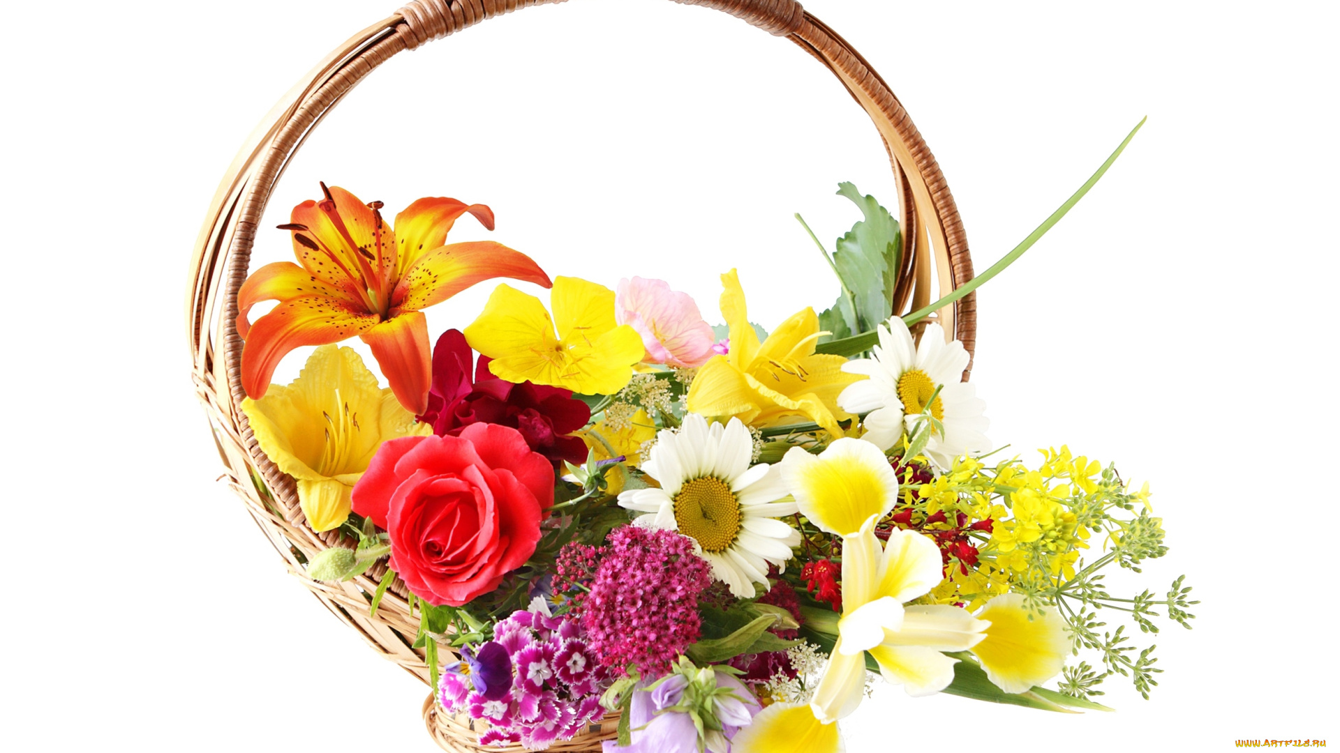 цветы, букеты, , композиции, корзина