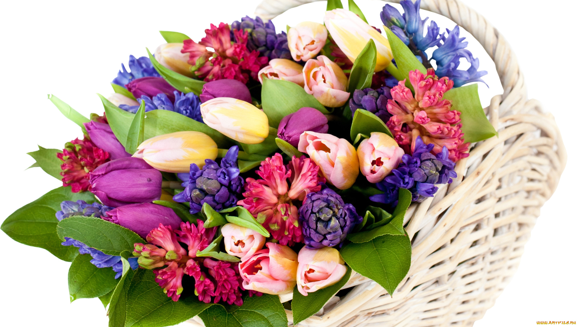 цветы, букеты, , композиции, корзина