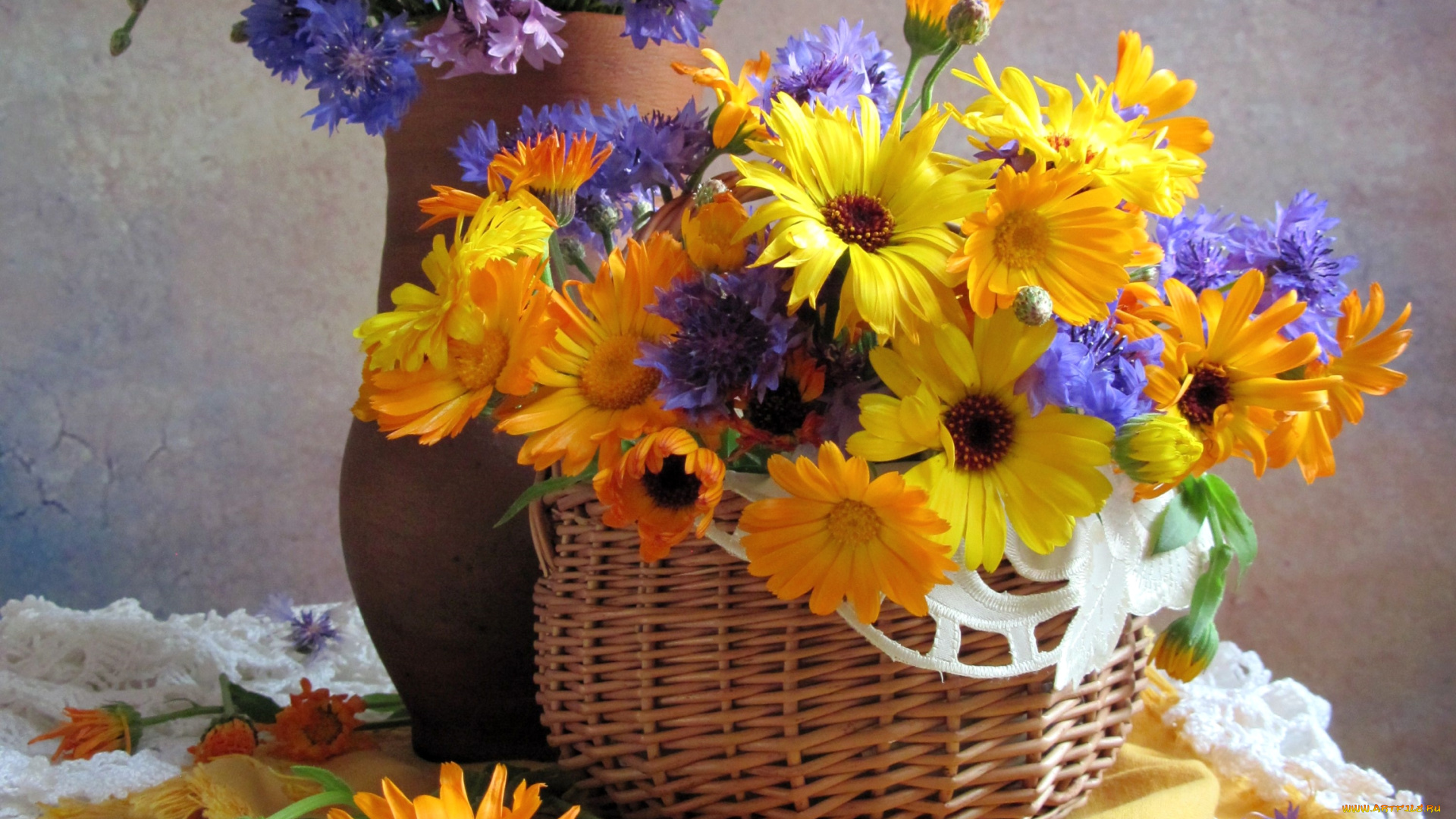 цветы, луговые, , полевые, , цветы, васильки, календула