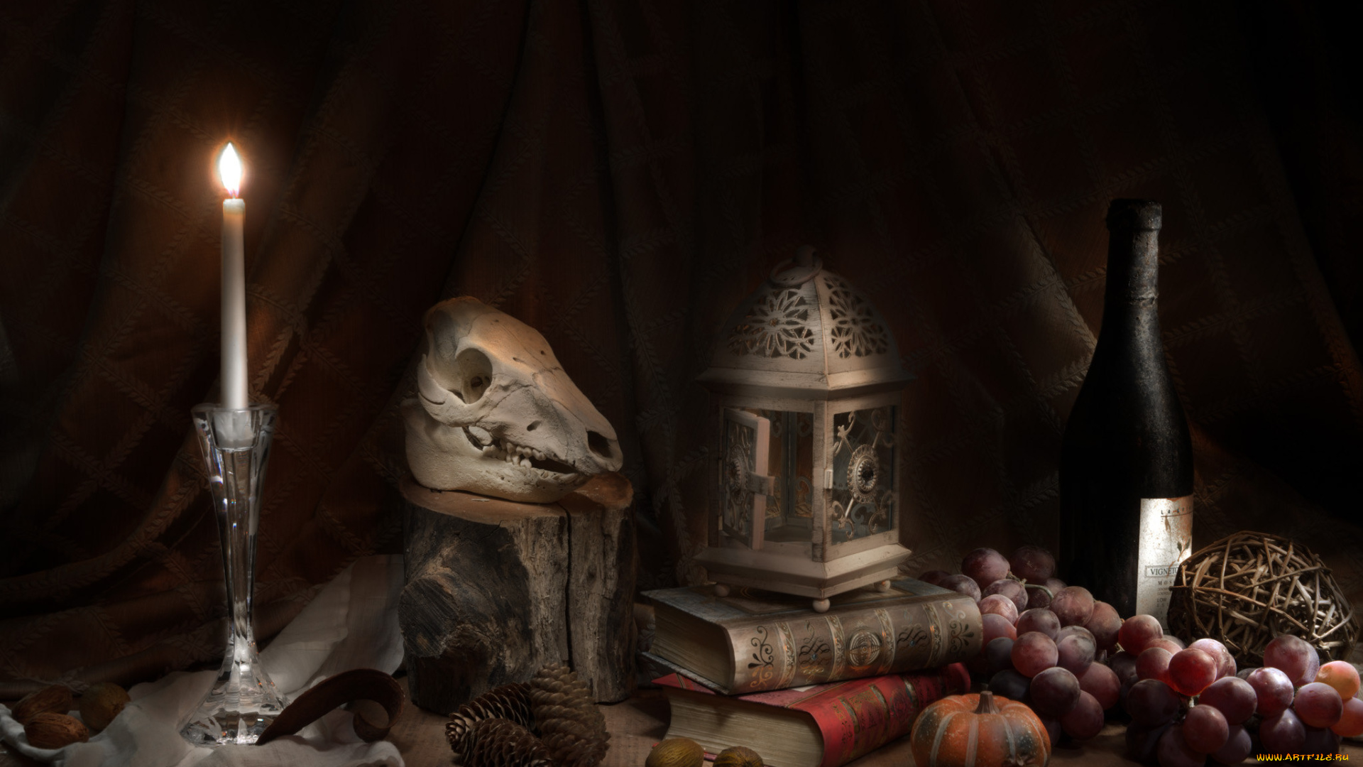 разное, кости, , рентген, натюрморт, череп, фрукты