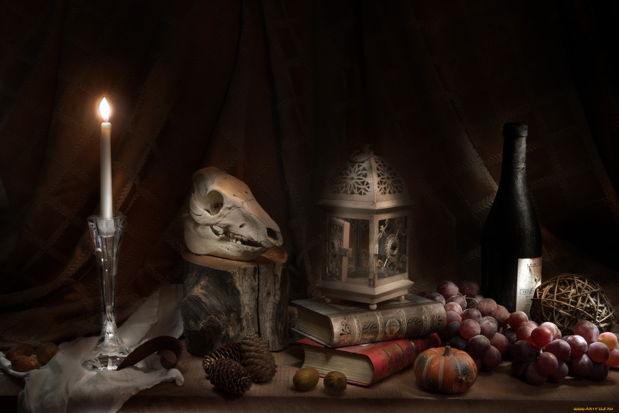 разное, кости, , рентген, натюрморт, череп, фрукты