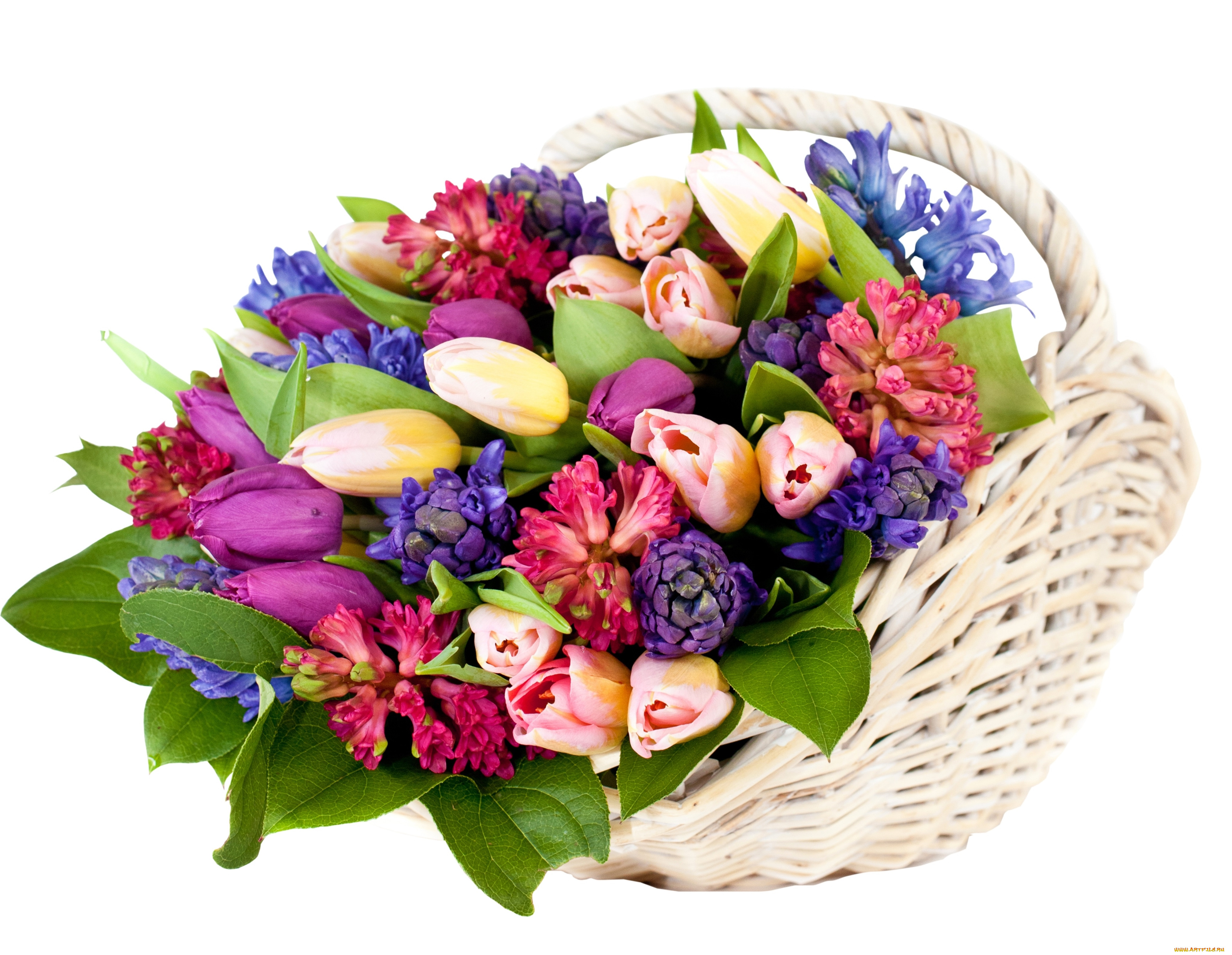 цветы, букеты, , композиции, корзина