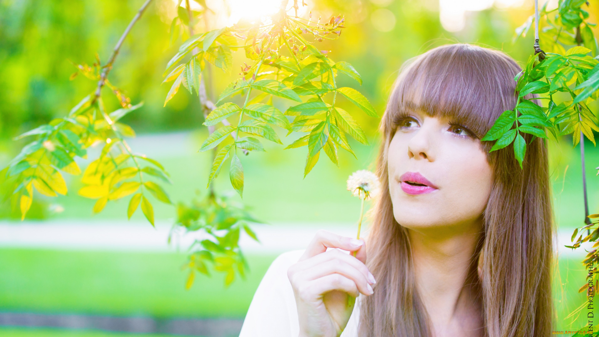 девушки, -unsort, , лица, , портреты, девушка, зелень, листья, одуванчик