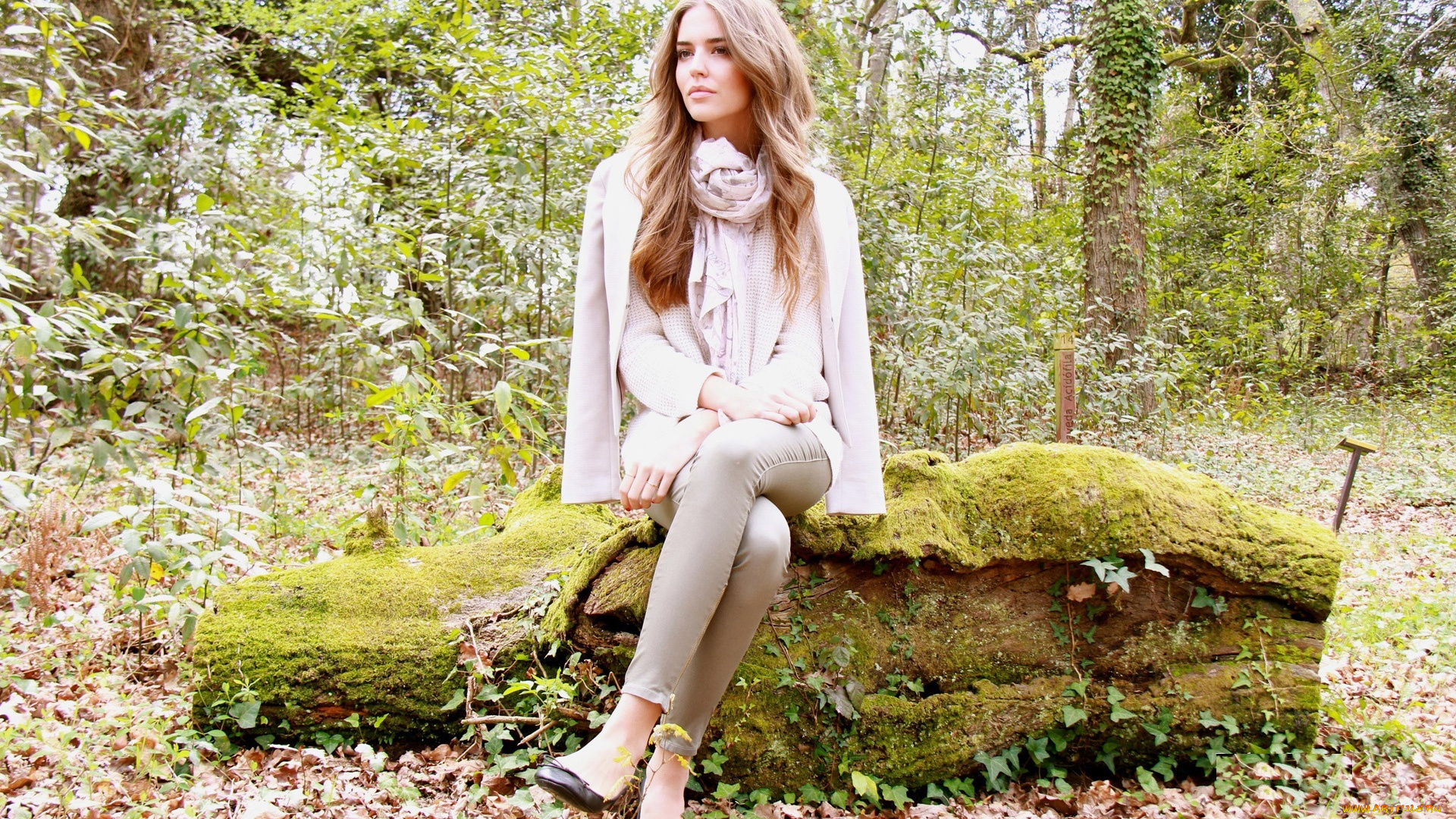 девушки, clara, alonso, модель, осень, листья, взгляд, каблуки, сидит, природа, шарф, бревно, clara, alonso