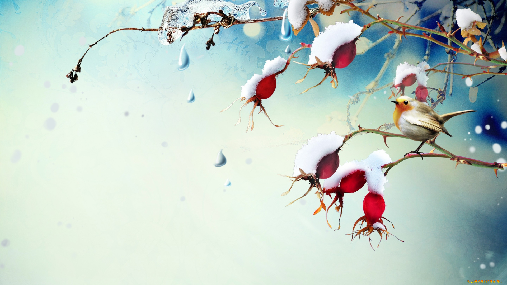 рисованное, животные, , птицы, птичка, шиповник, ягоды, снег, ветки, капли, лёд