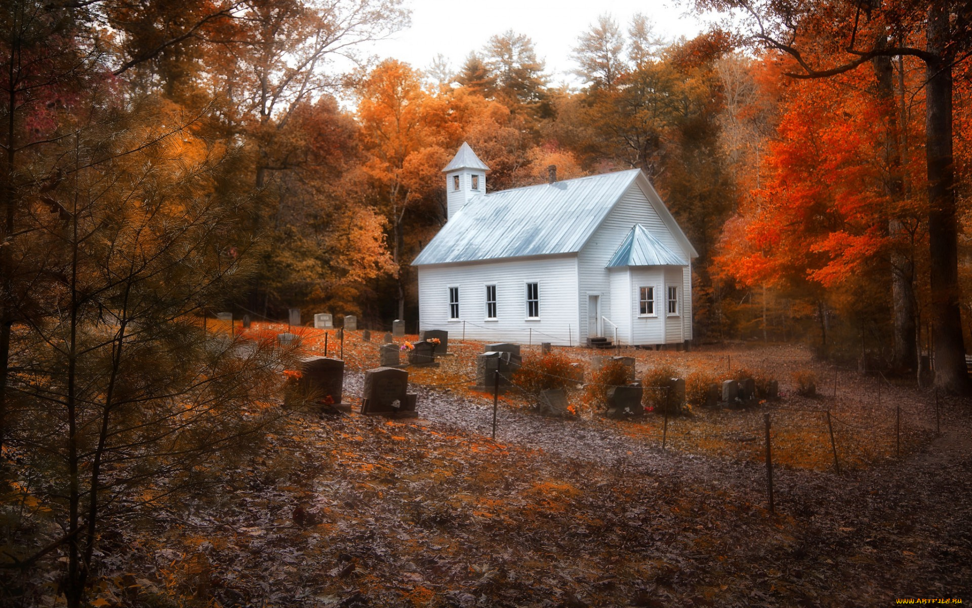 города, -, другое, храм, кладбище, лес