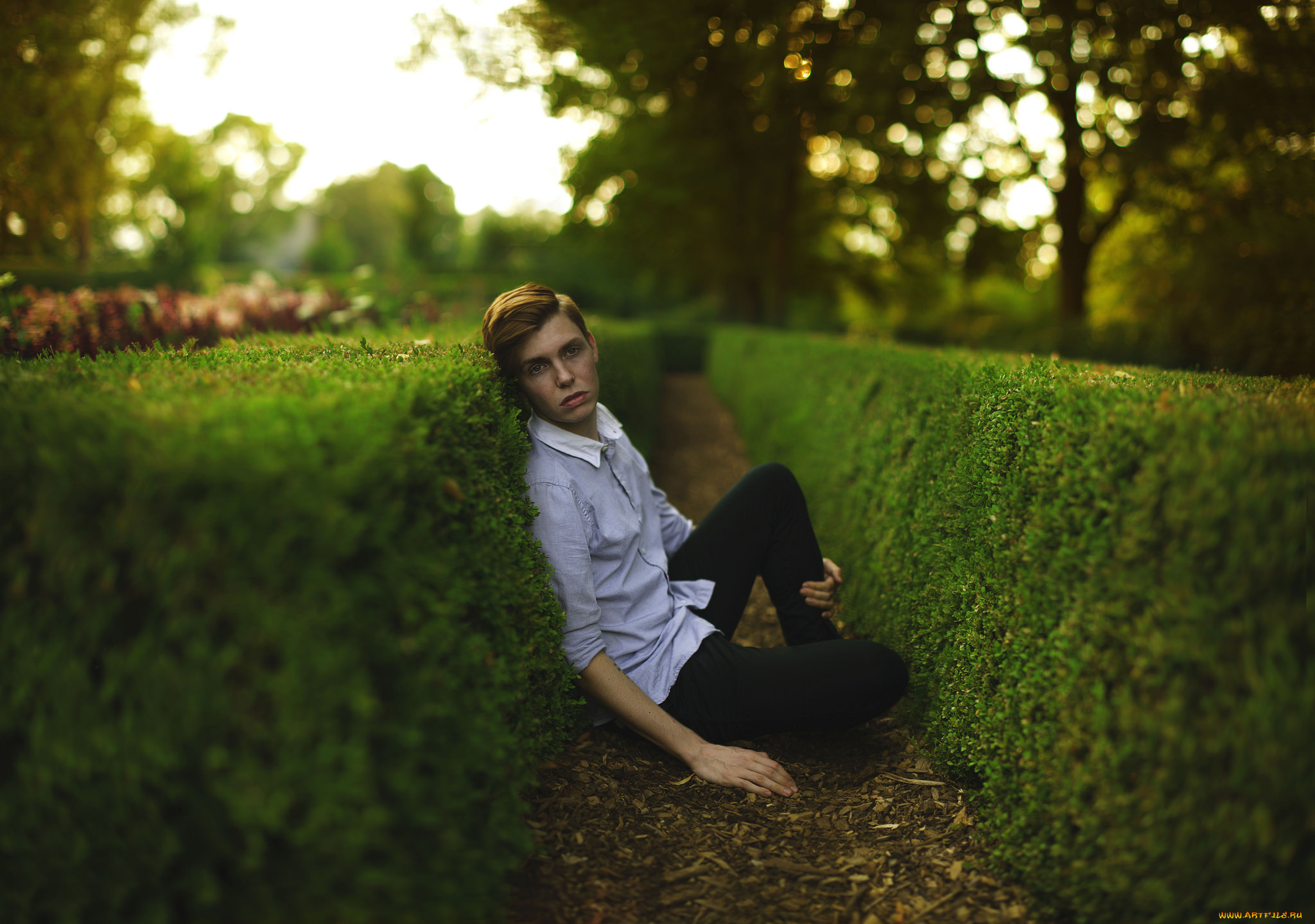 мужчины, -, unsort, кусты, парень, парк