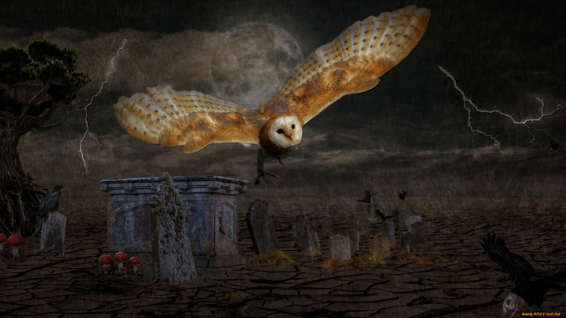 разное, компьютерный, дизайн, сова, луна, ночь