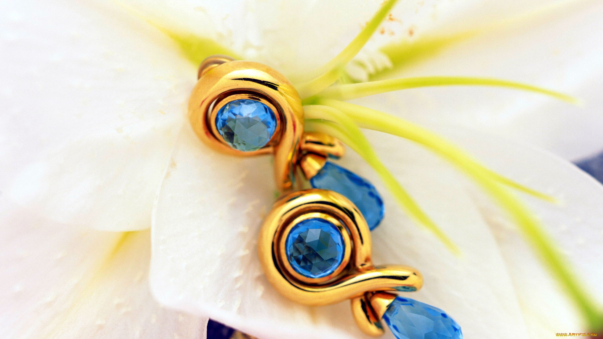 разное, украшения, , аксессуары, , веера, серьги