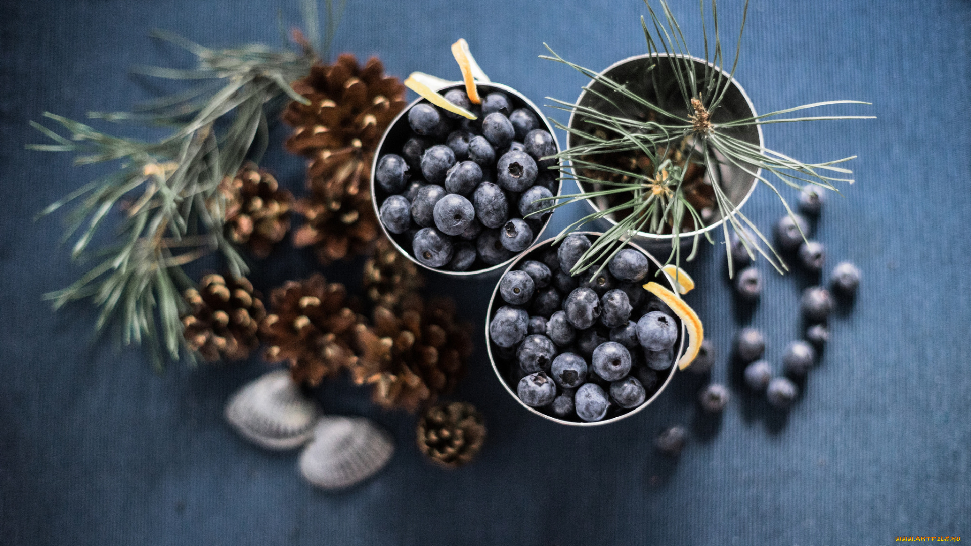 еда, голубика, , черника, шишка, ягода, черника