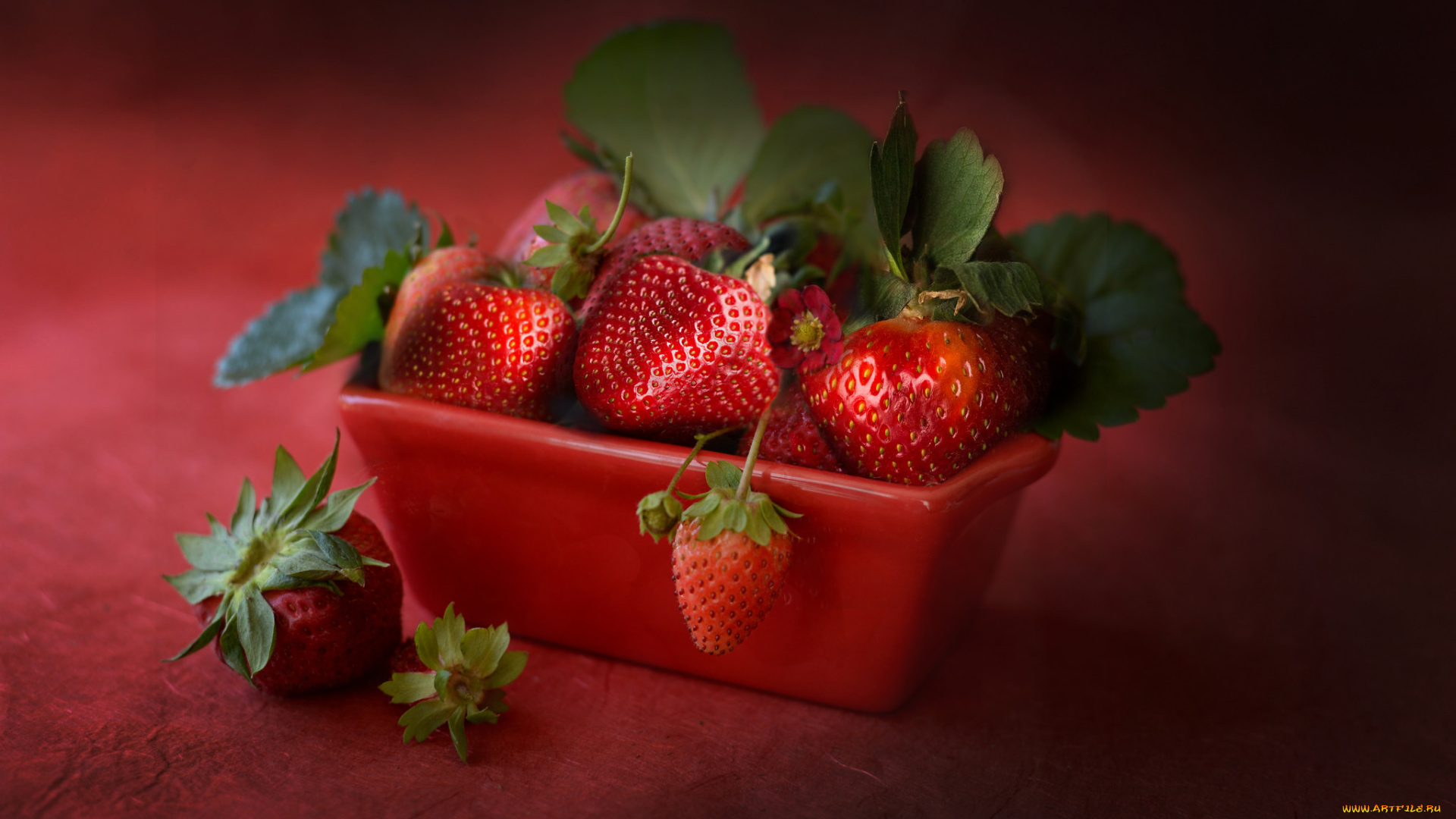 еда, клубника, , земляника, ягода, спелая, сочная