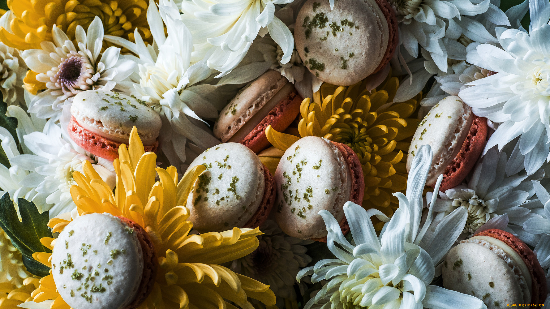 еда, макаруны, цветы, пирожные