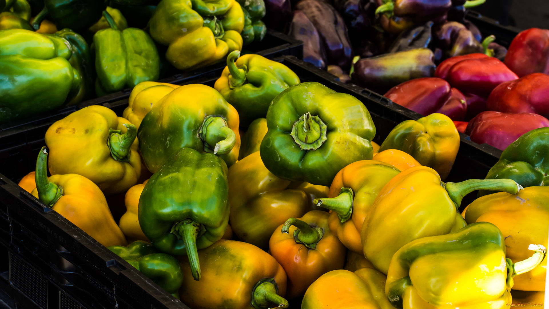 еда, перец, плоды