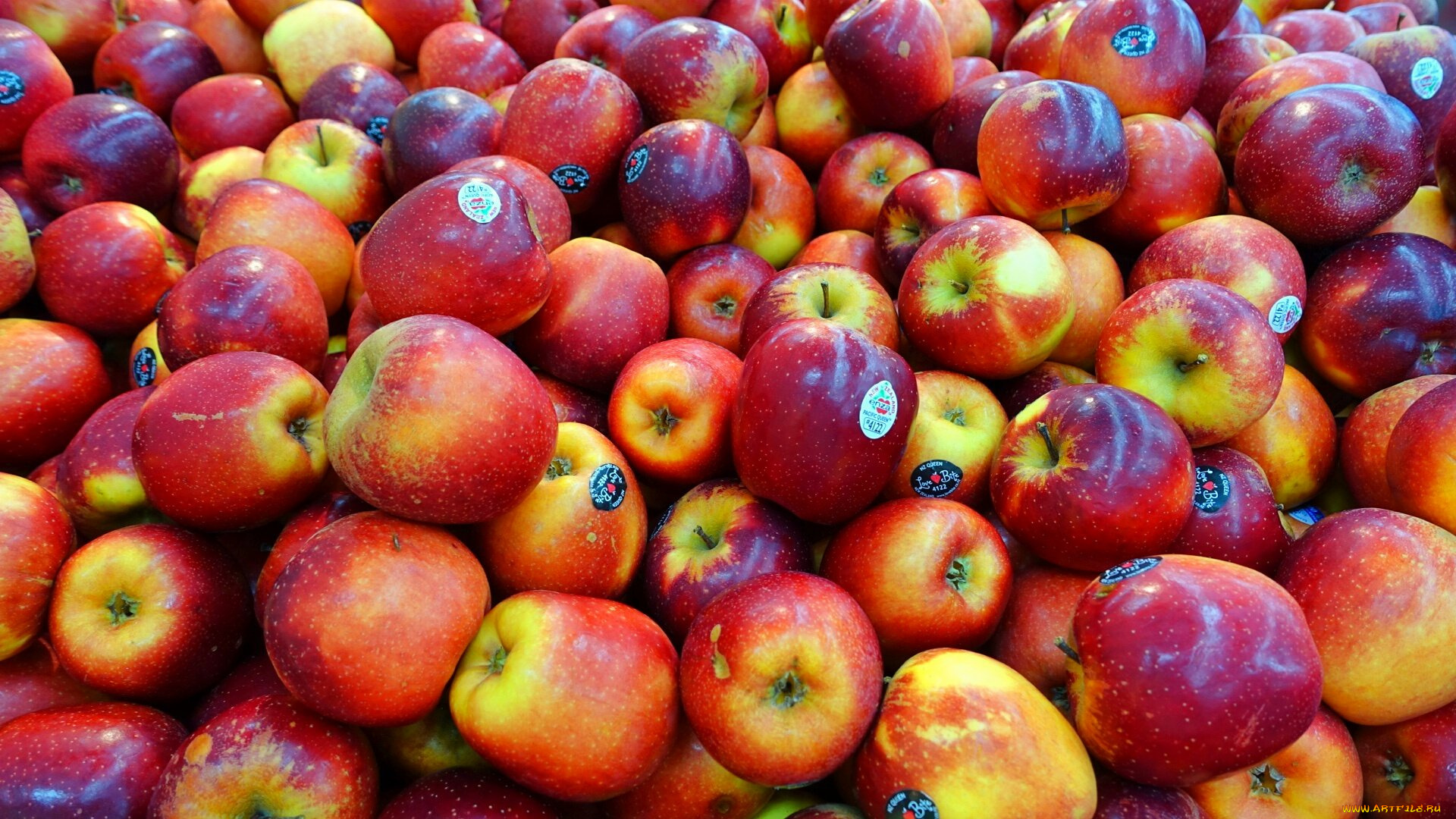 еда, Яблоки, плоды