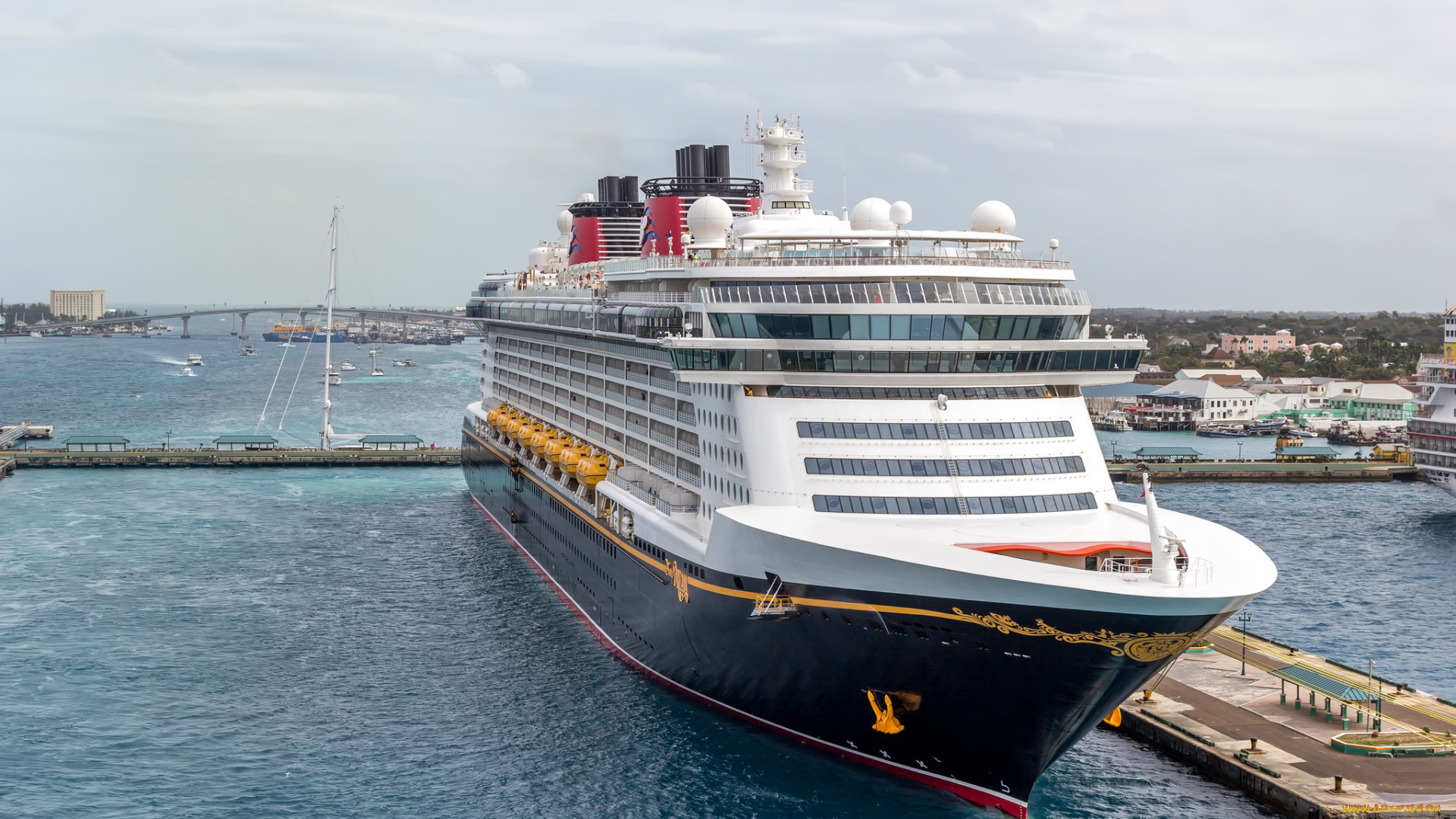 корабли, лайнеры, круиз, лайнер