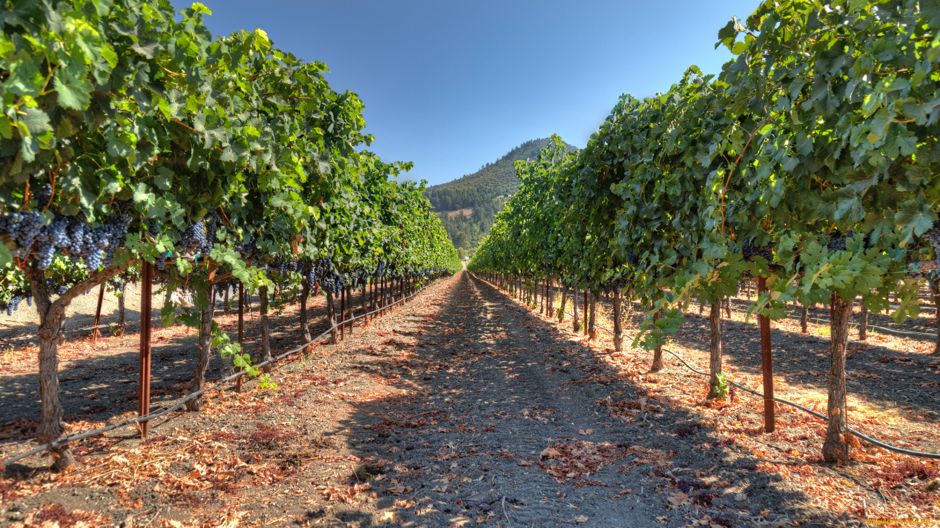 природа, дороги, тракт