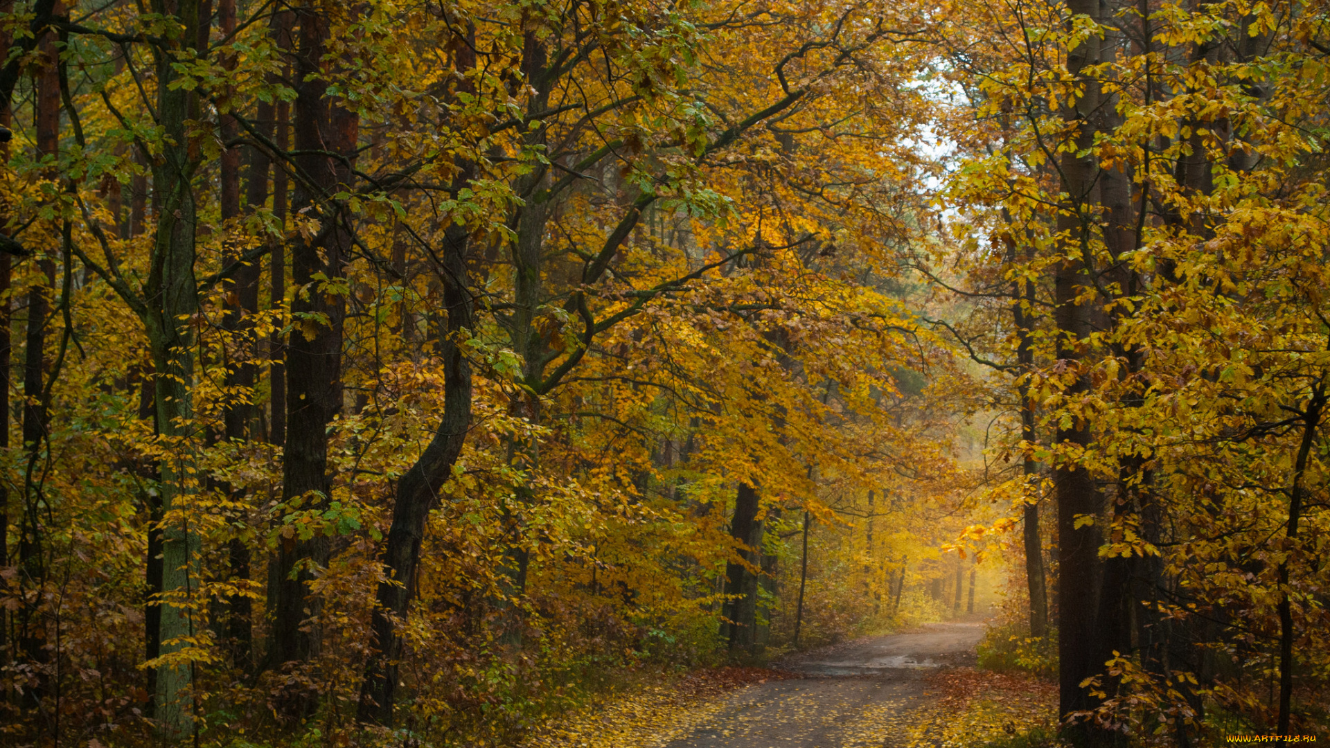 природа, дороги, тракт