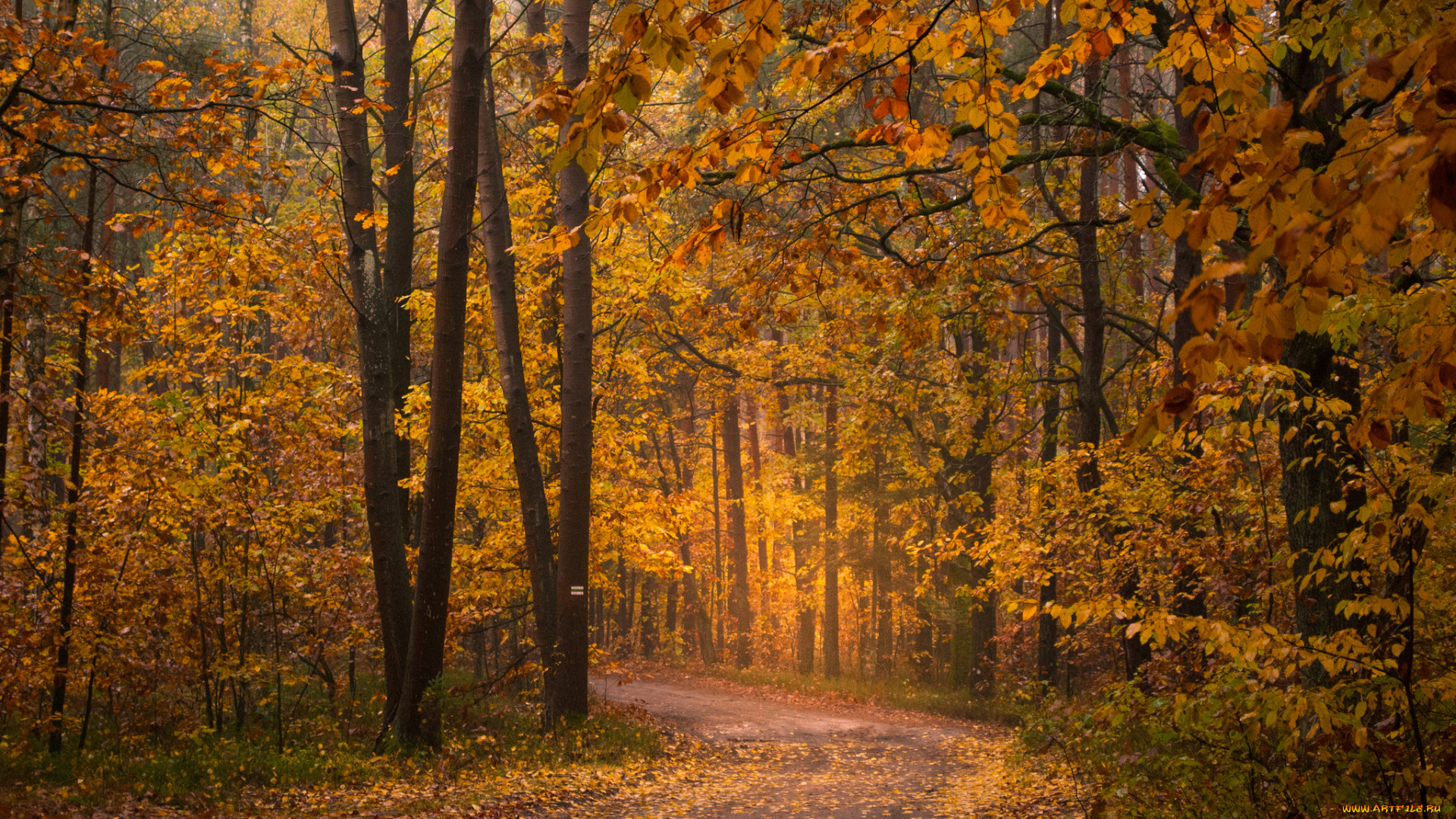 природа, дороги, тракт