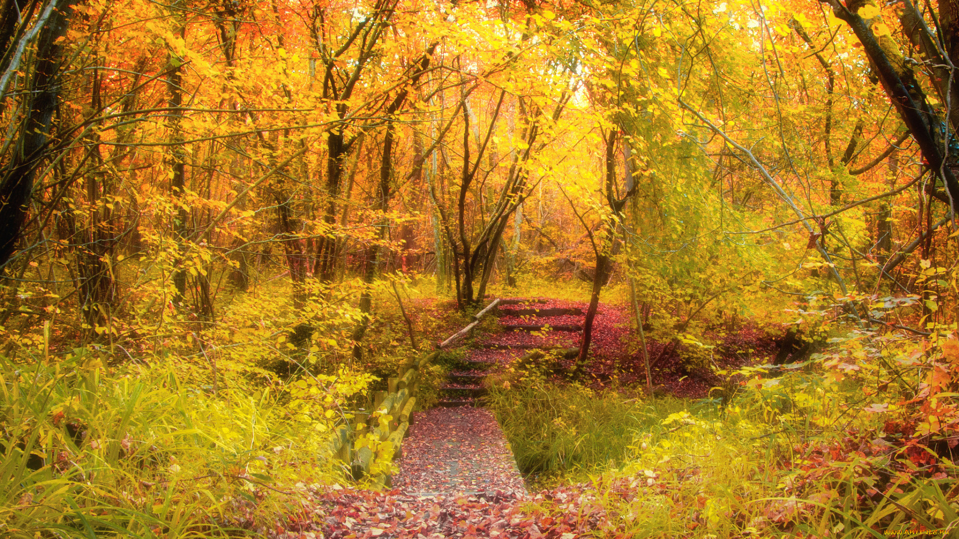 природа, дороги, тракт