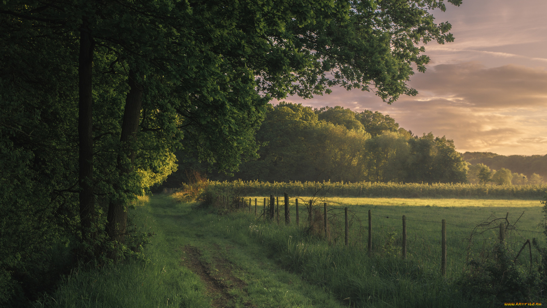 природа, дороги, тракт