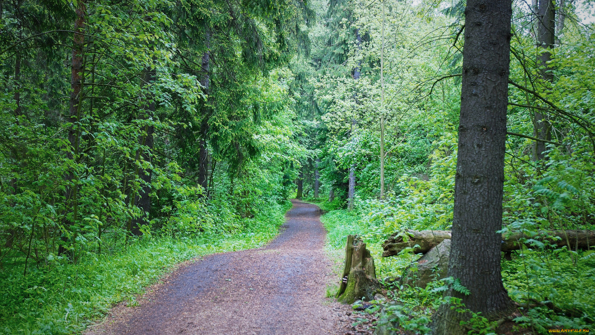 природа, дороги, тракт